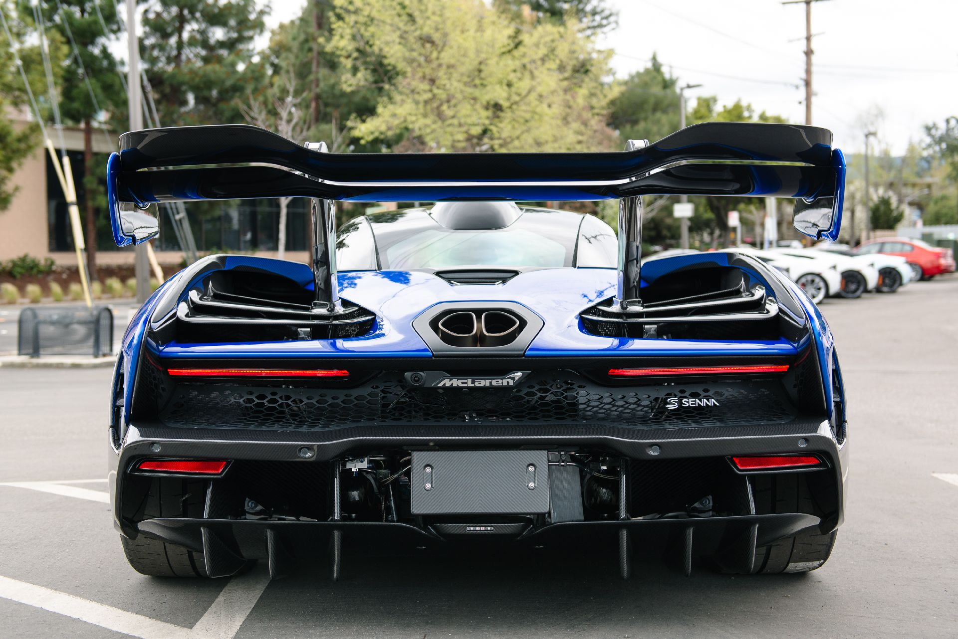 What Do You Think Of This Vega Blue McLaren Senna?