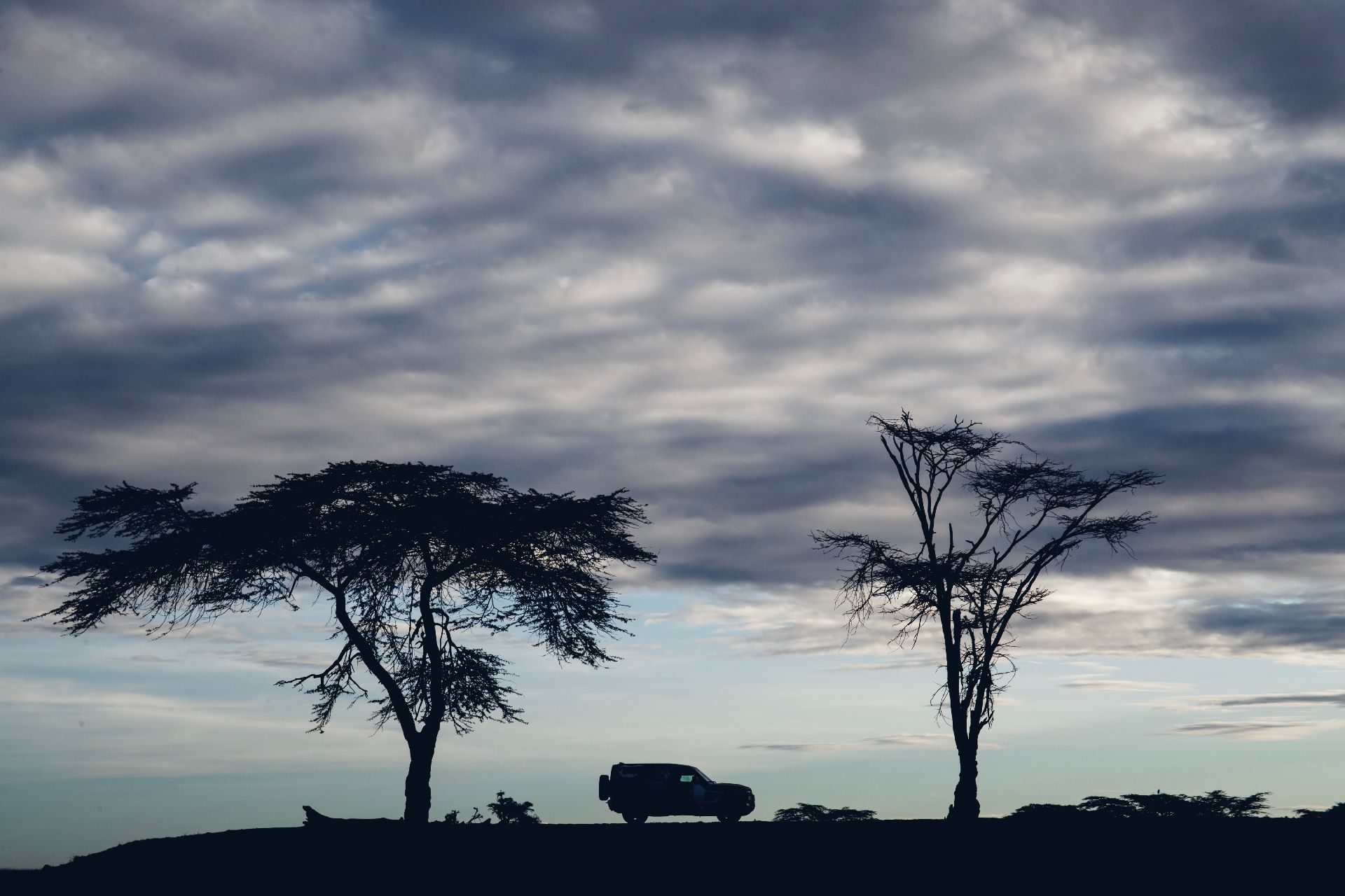 2020 Land Rover Defender Completes Rigorous Testing In Kenya