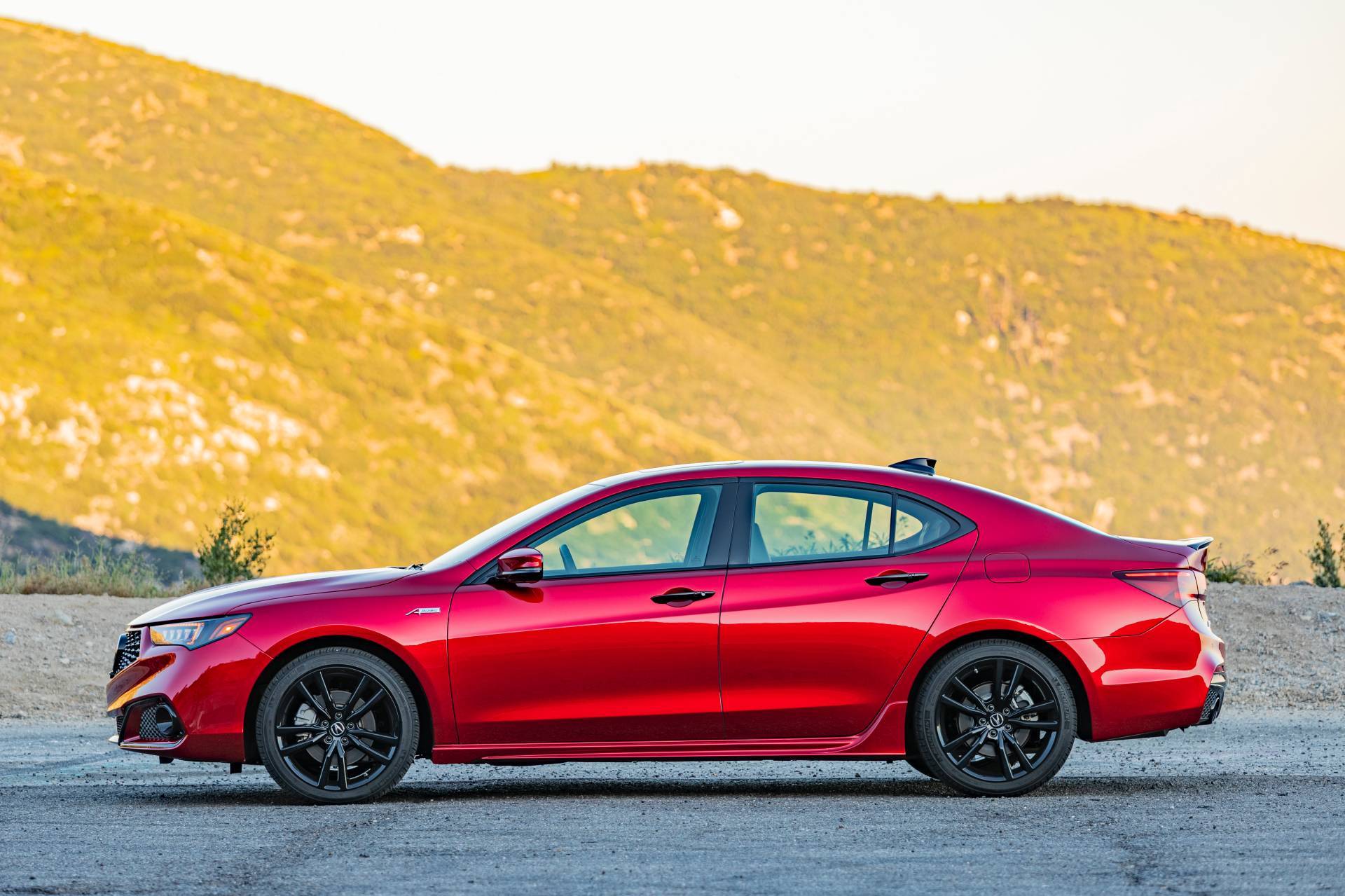 Handbuilt 2020 Acura TLX PMC Edition Hits U.S. Dealerships With $50,945 Tag