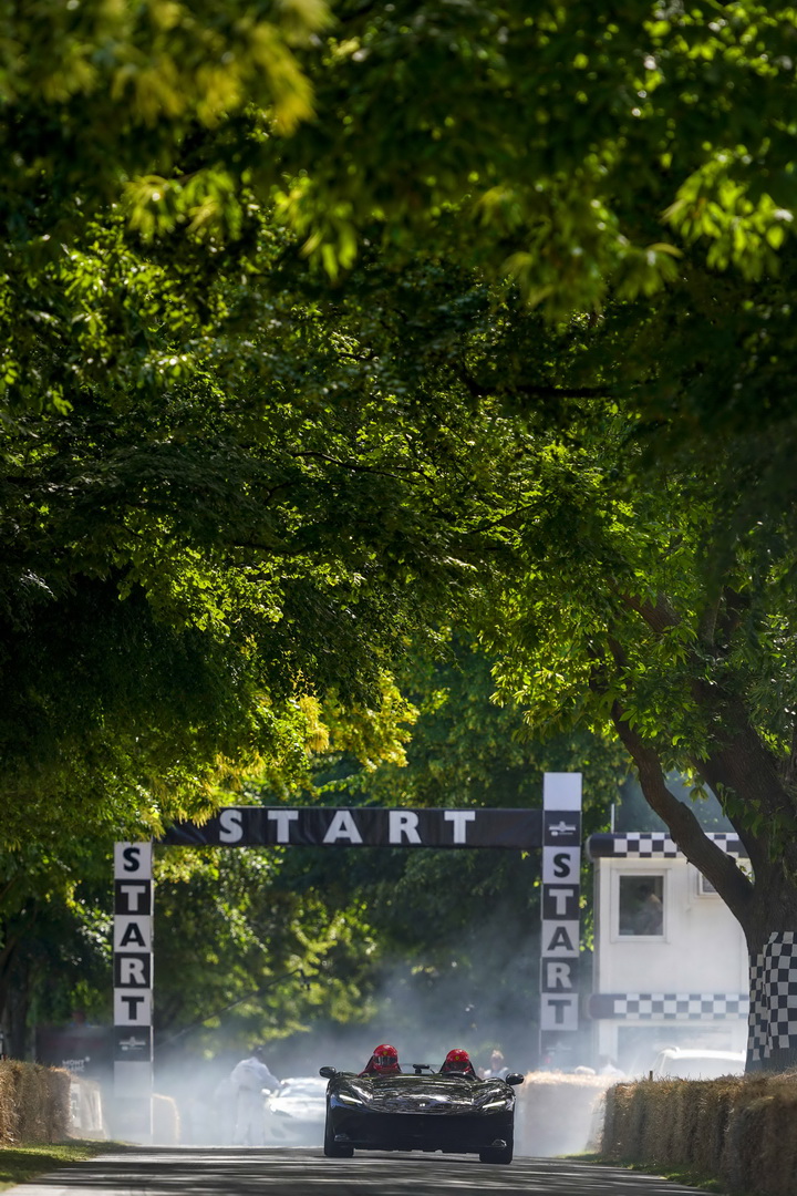 Show-Stopping Ferrari Exhibition Brings Together The Greatest Modern Prancing Horses