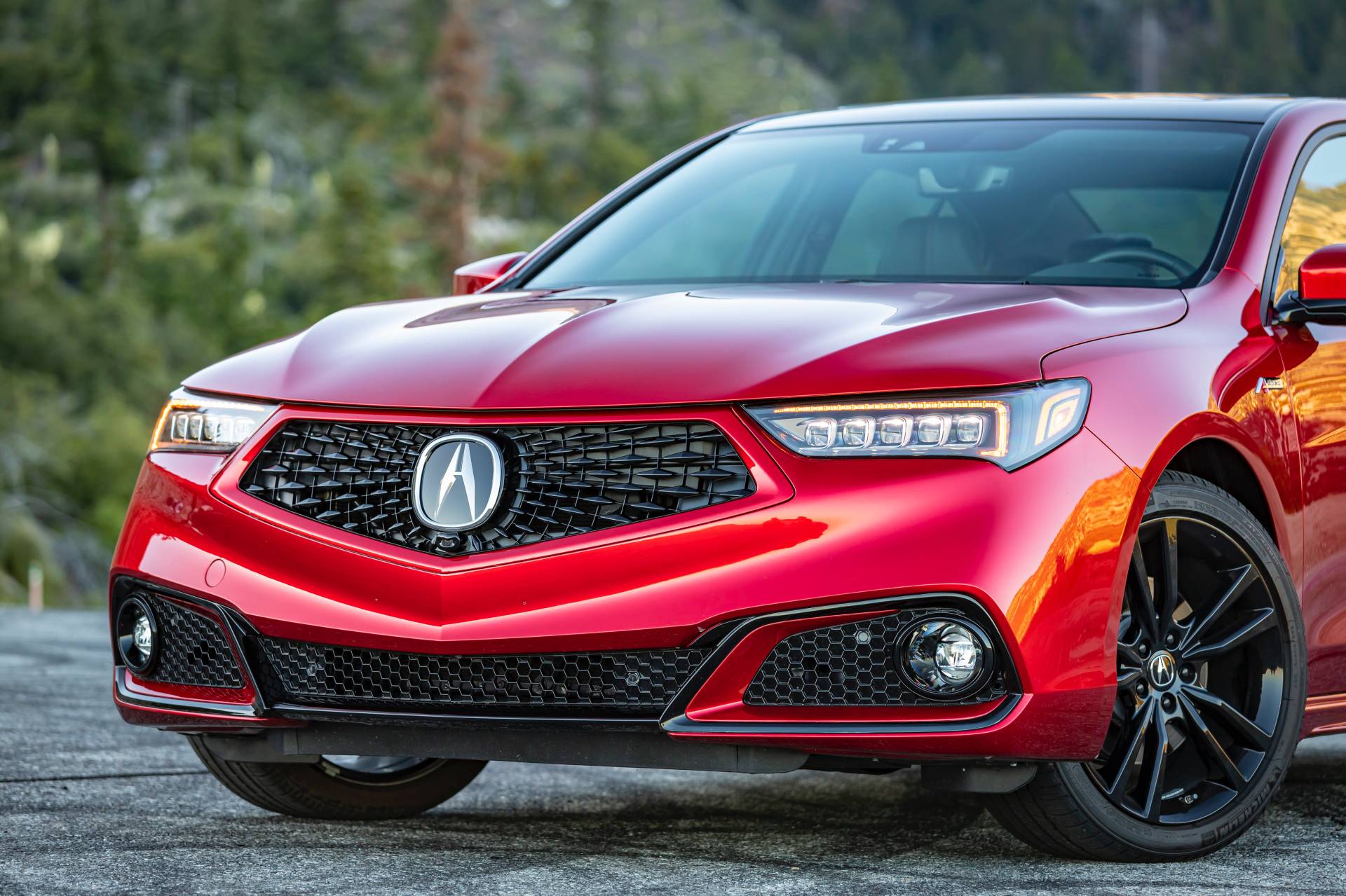 Handbuilt 2020 Acura TLX PMC Edition Hits U.S. Dealerships With $50,945 Tag