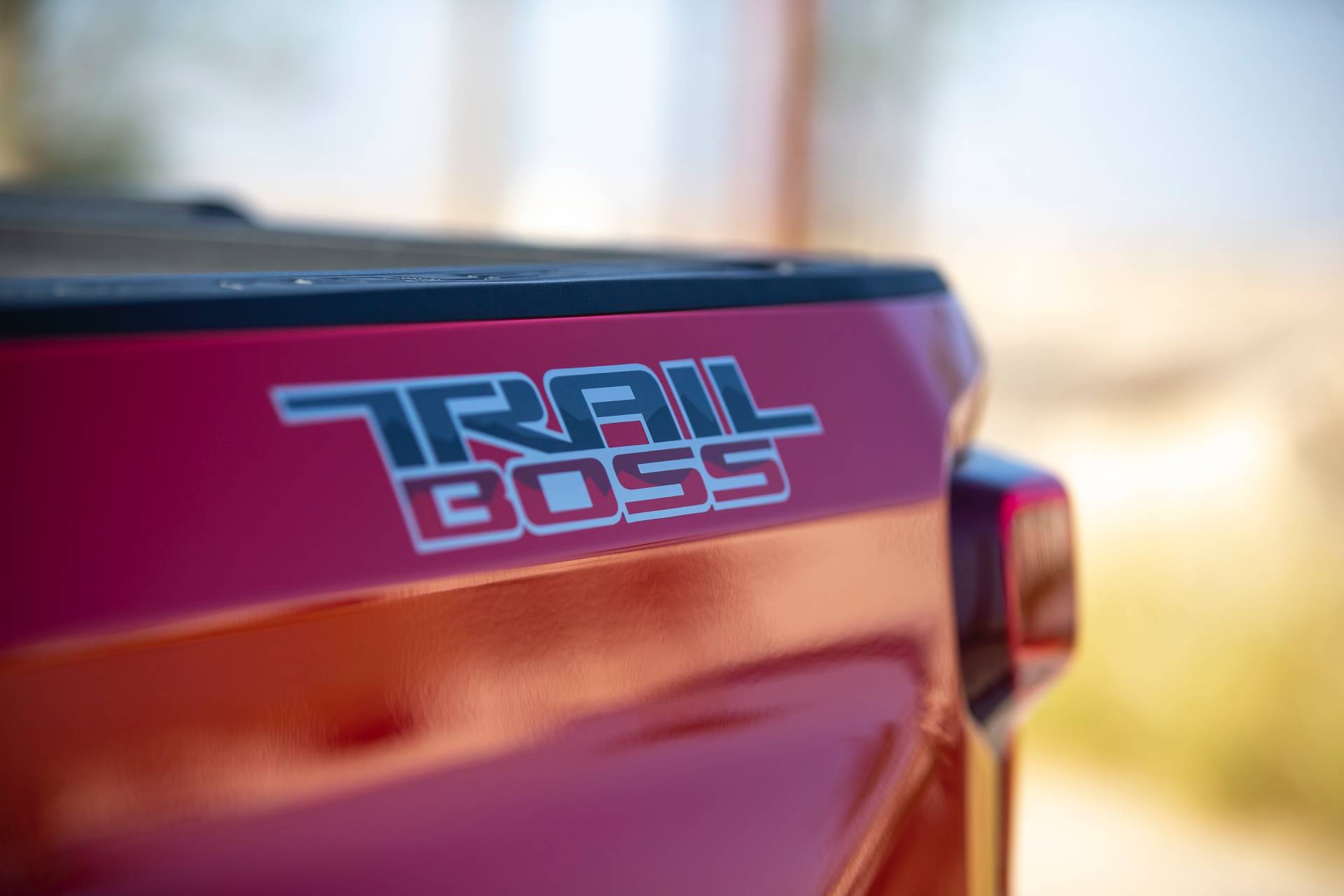 2019 Chevy Silverado RST And Trail Boss Regular Cabs Too Cool For U.S.