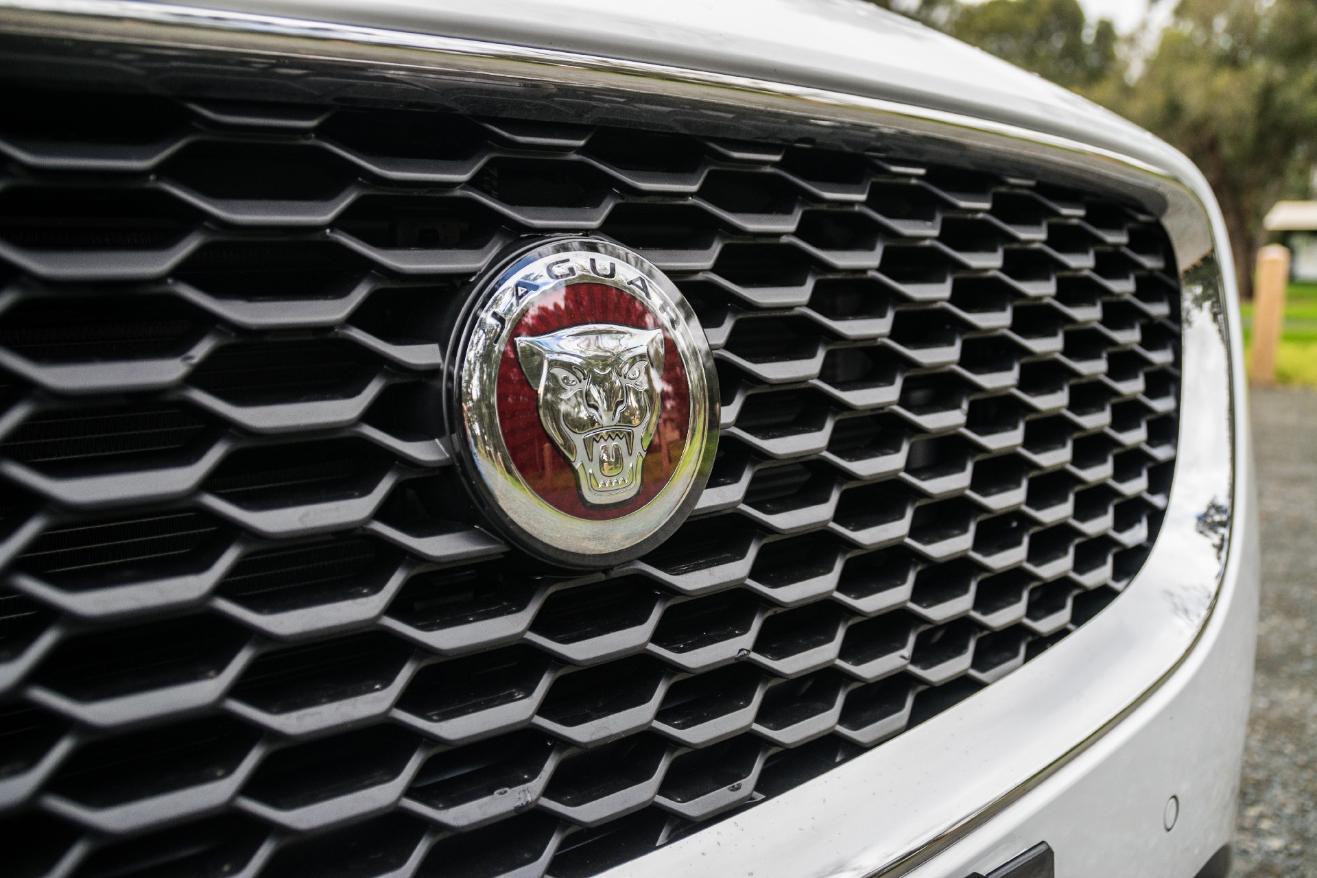 Driven: 2019 Jaguar E-Pace Has Great Looks – And Some Glaring Faults