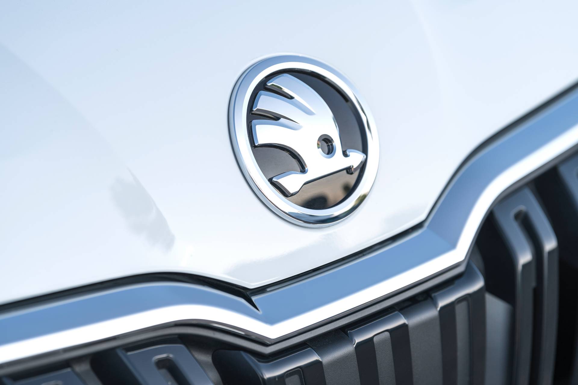 Scan Every Inch Of Skoda’s 2020 Kamiq In Mega Gallery