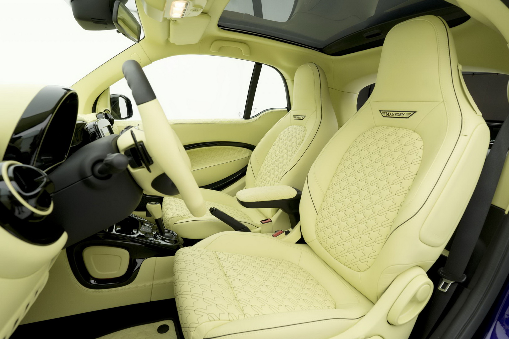 Smart ForTwo Wanted To Be Just A City Car; Mansory Had Other Plans