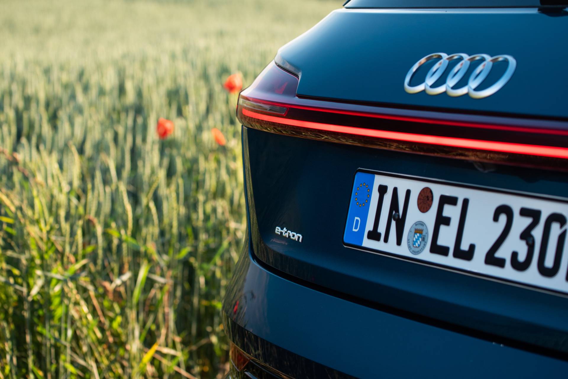 Audi E-Tron Fleet Crosses 10 Countries, Does 1,600 Km In 24 Hours