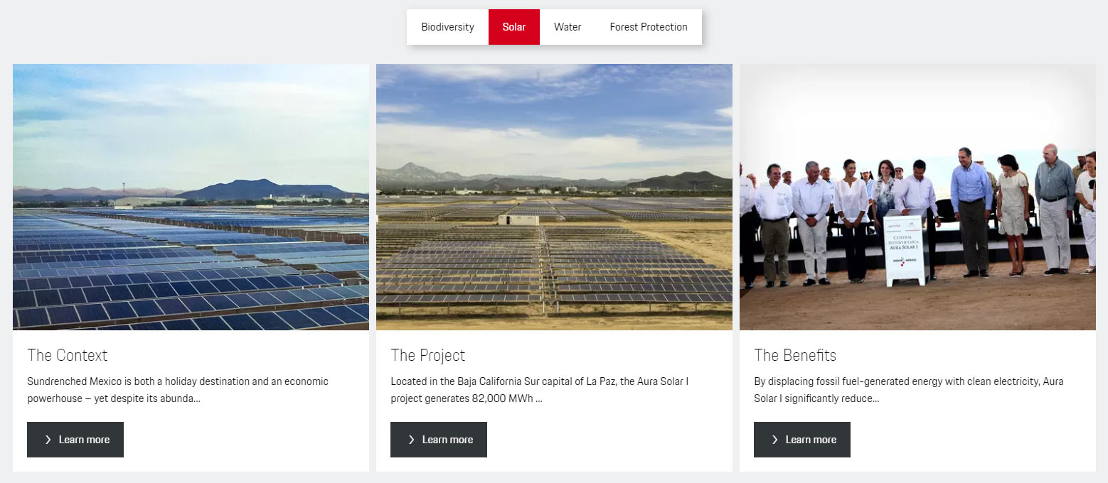 Feel Bad About Polluting In Your 911? Porsche Will Gladly Help (And Take Your Money)