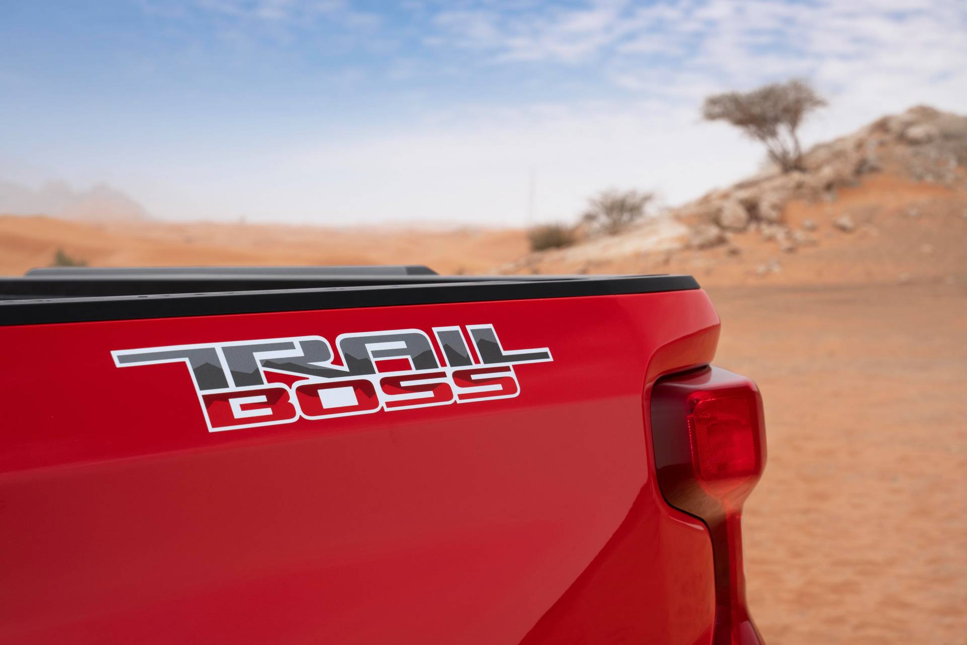 2019 Chevy Silverado RST And Trail Boss Regular Cabs Too Cool For U.S.