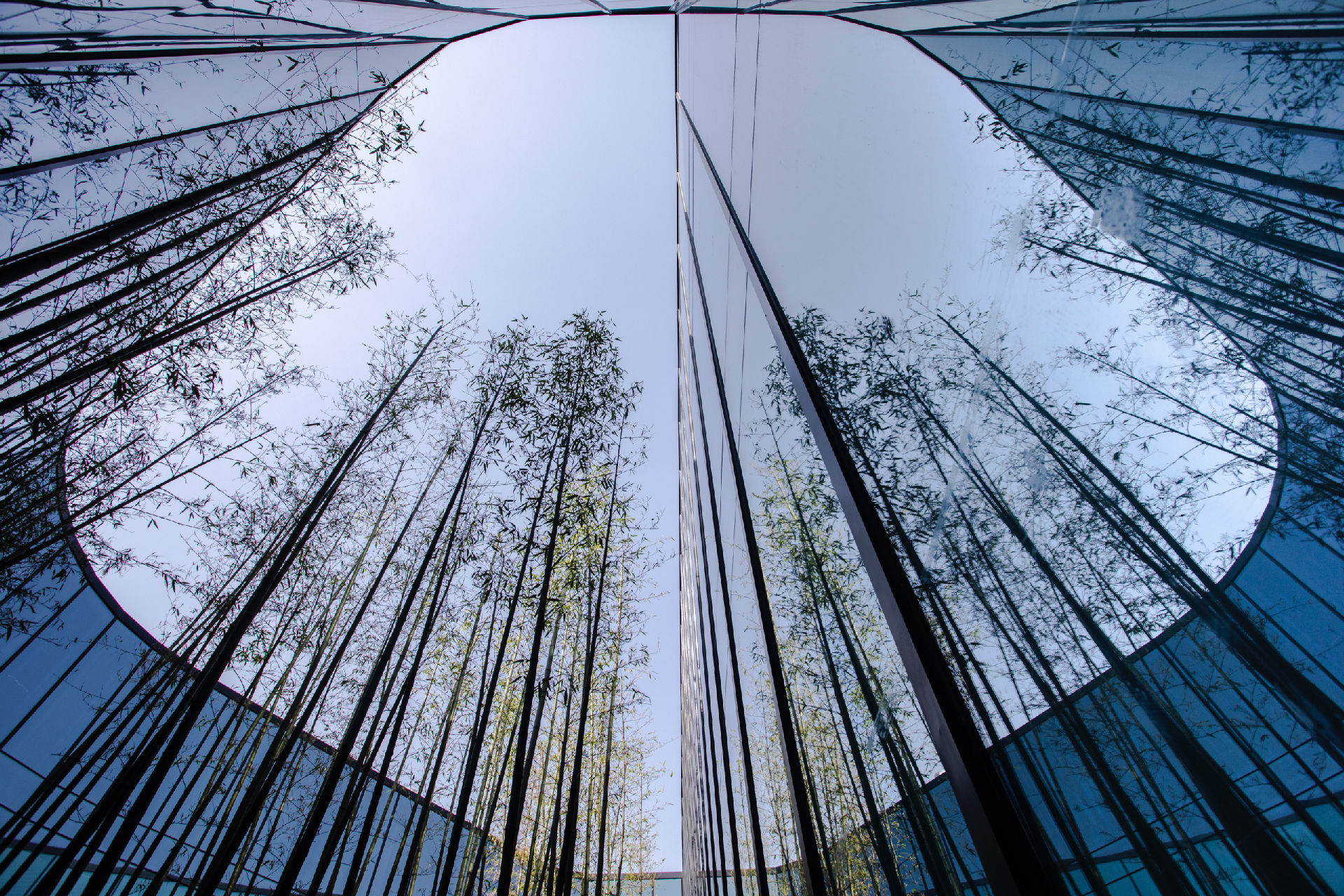 Polestar Unveils Huge Chinese Production Facility For The Polestar 1