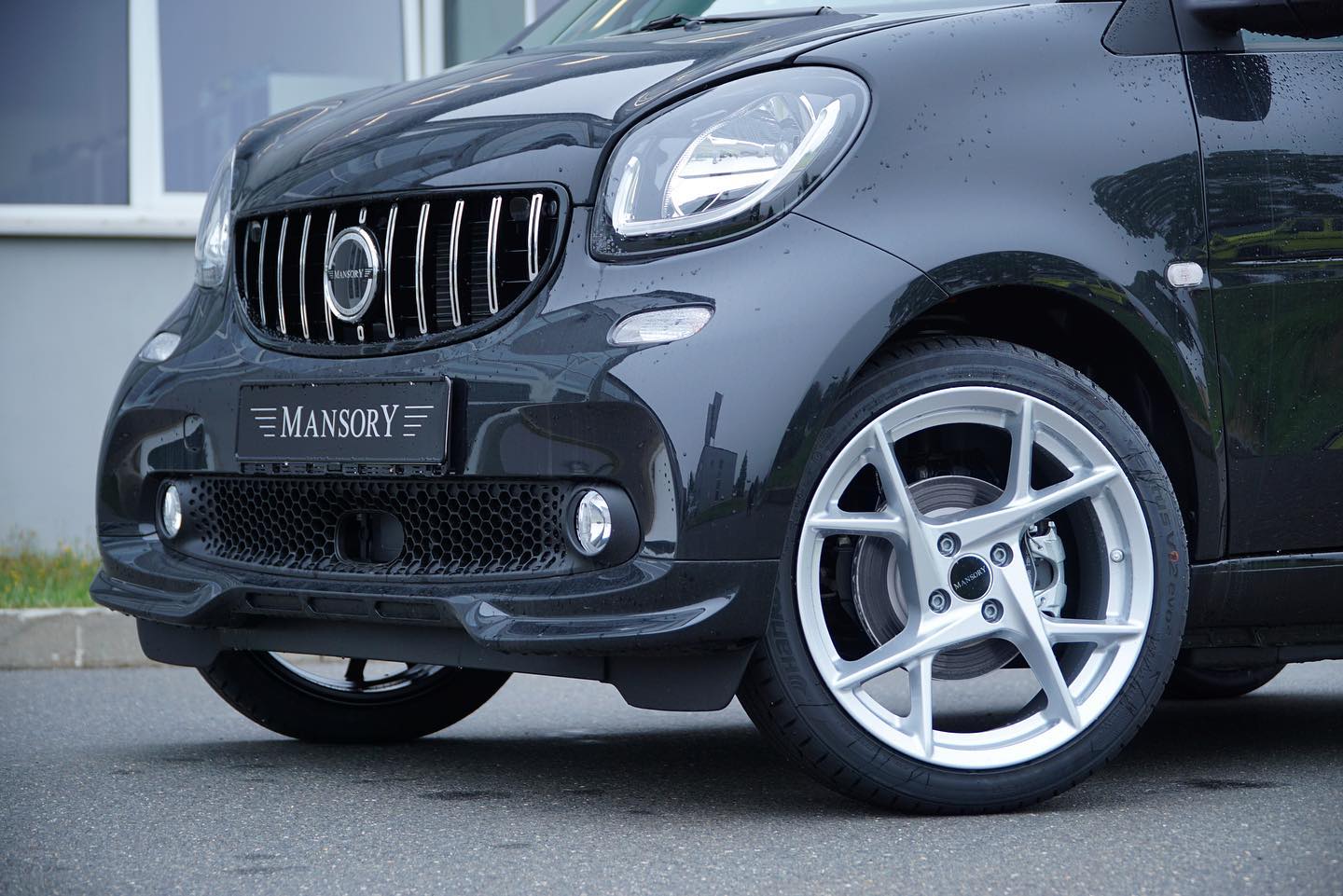 Smart ForTwo Wanted To Be Just A City Car; Mansory Had Other Plans