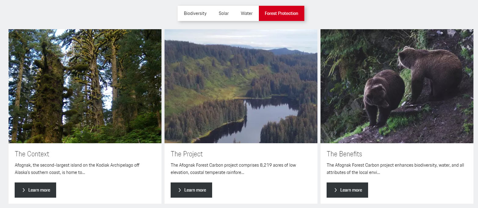 Feel Bad About Polluting In Your 911? Porsche Will Gladly Help (And Take Your Money)