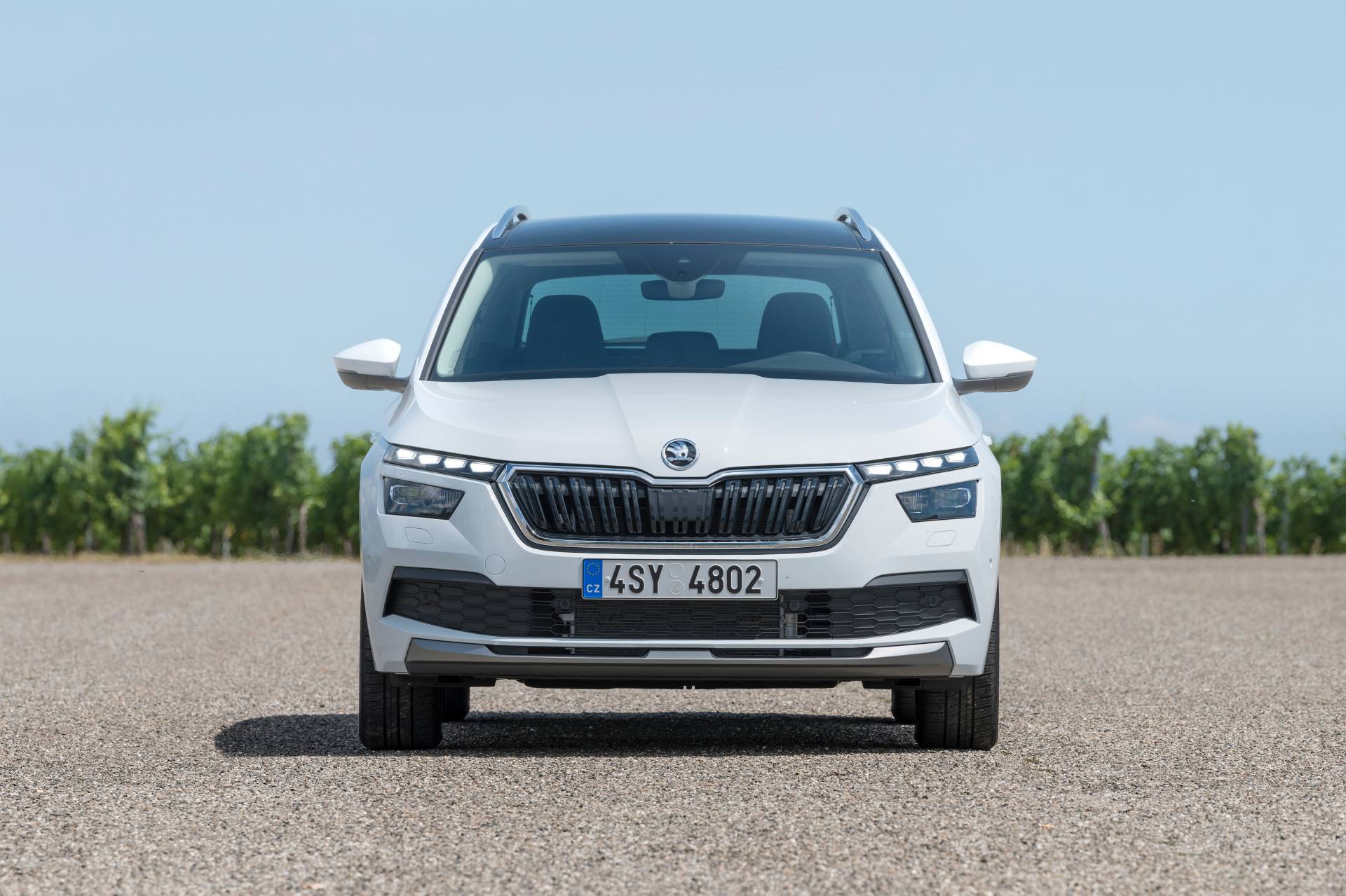 Scan Every Inch Of Skoda’s 2020 Kamiq In Mega Gallery