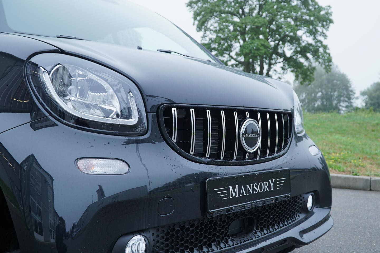 Smart ForTwo Wanted To Be Just A City Car; Mansory Had Other Plans