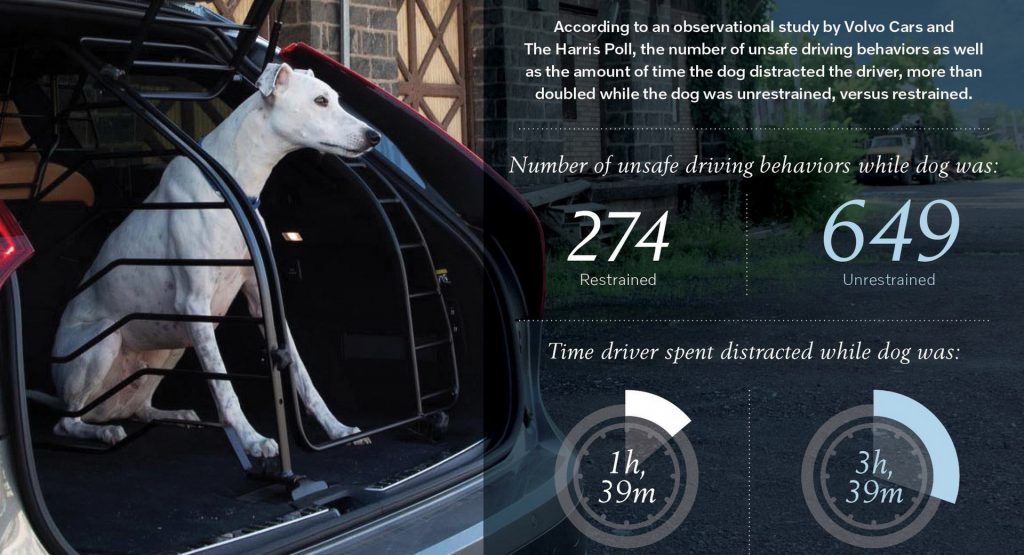 New Volvo Study Makes Strong Case Against Unrestrained Pets