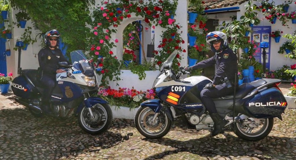  Spanish Driver Caught With Over 1000 Marijuana Plants In His Van Tells Officers They’re… Peppermint