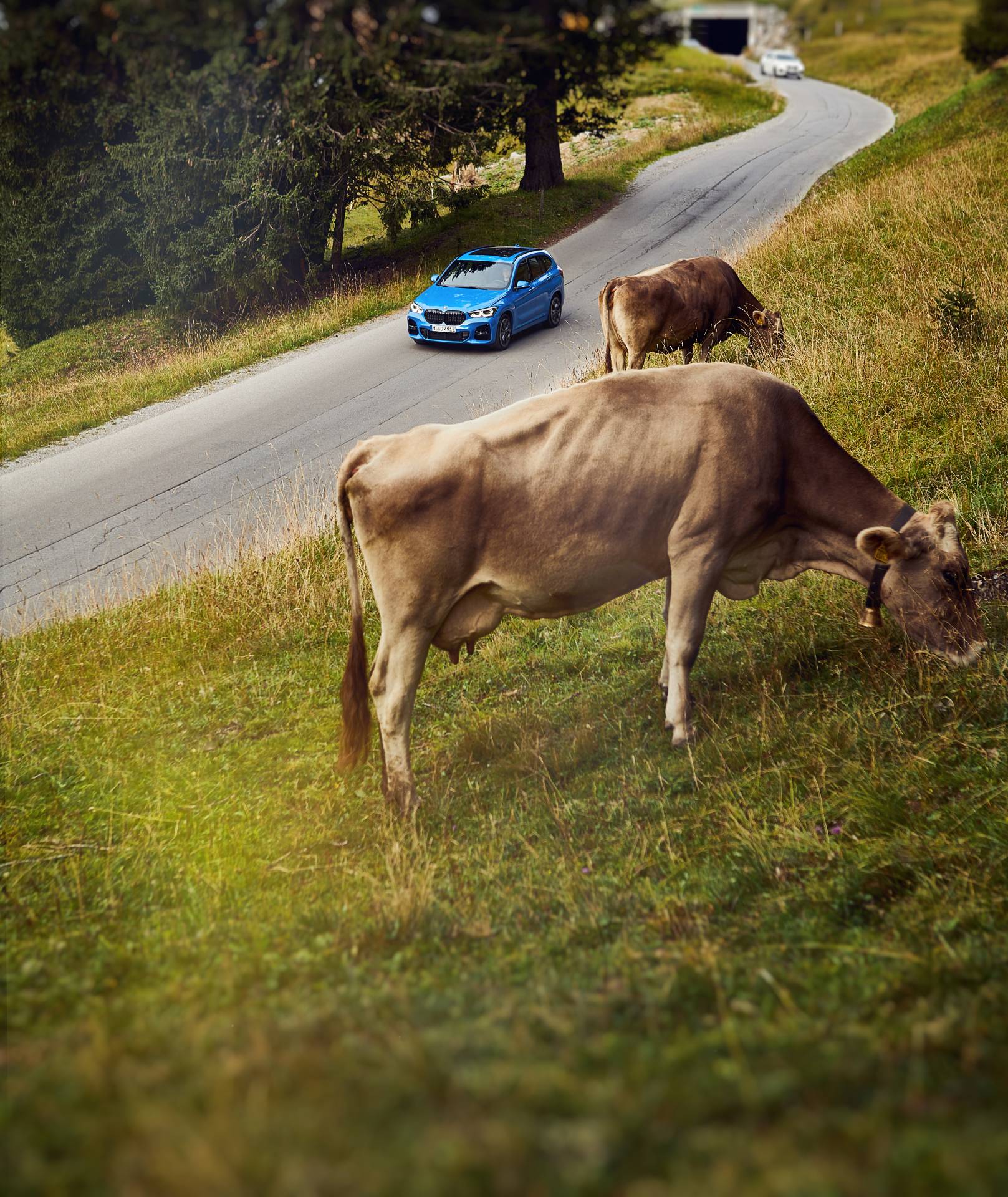 BMW Details Facelifted 2020 X1 xDrive25e Plug-In Hybrid America Won’t Get