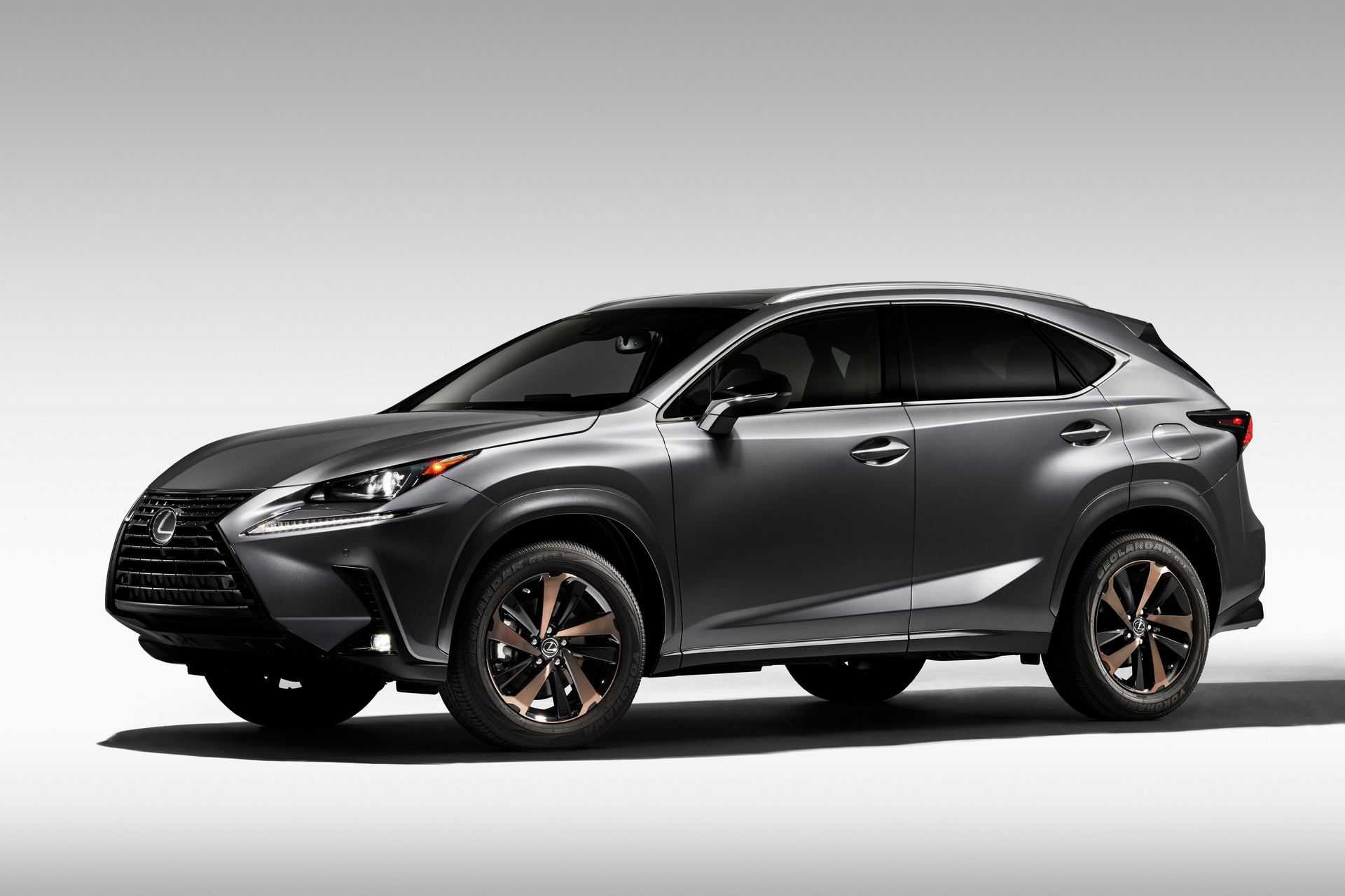 2020 Lexus NX 300 Black Line Special Edition Comes Loaded With Bronze Accents
