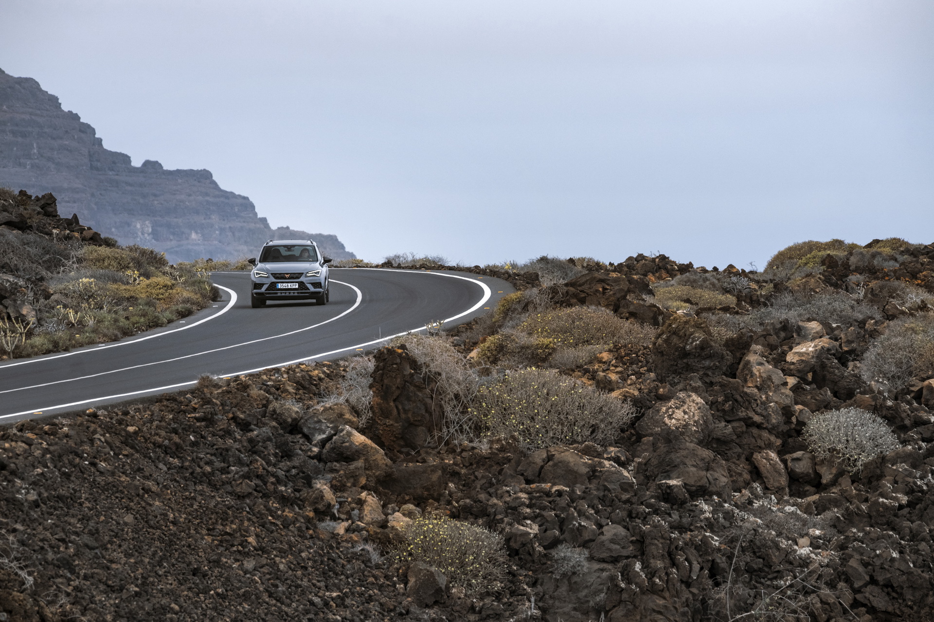 Cupra Ateca Gains New Limited Edition With Carbon Fiber Bits, New Wheels And More