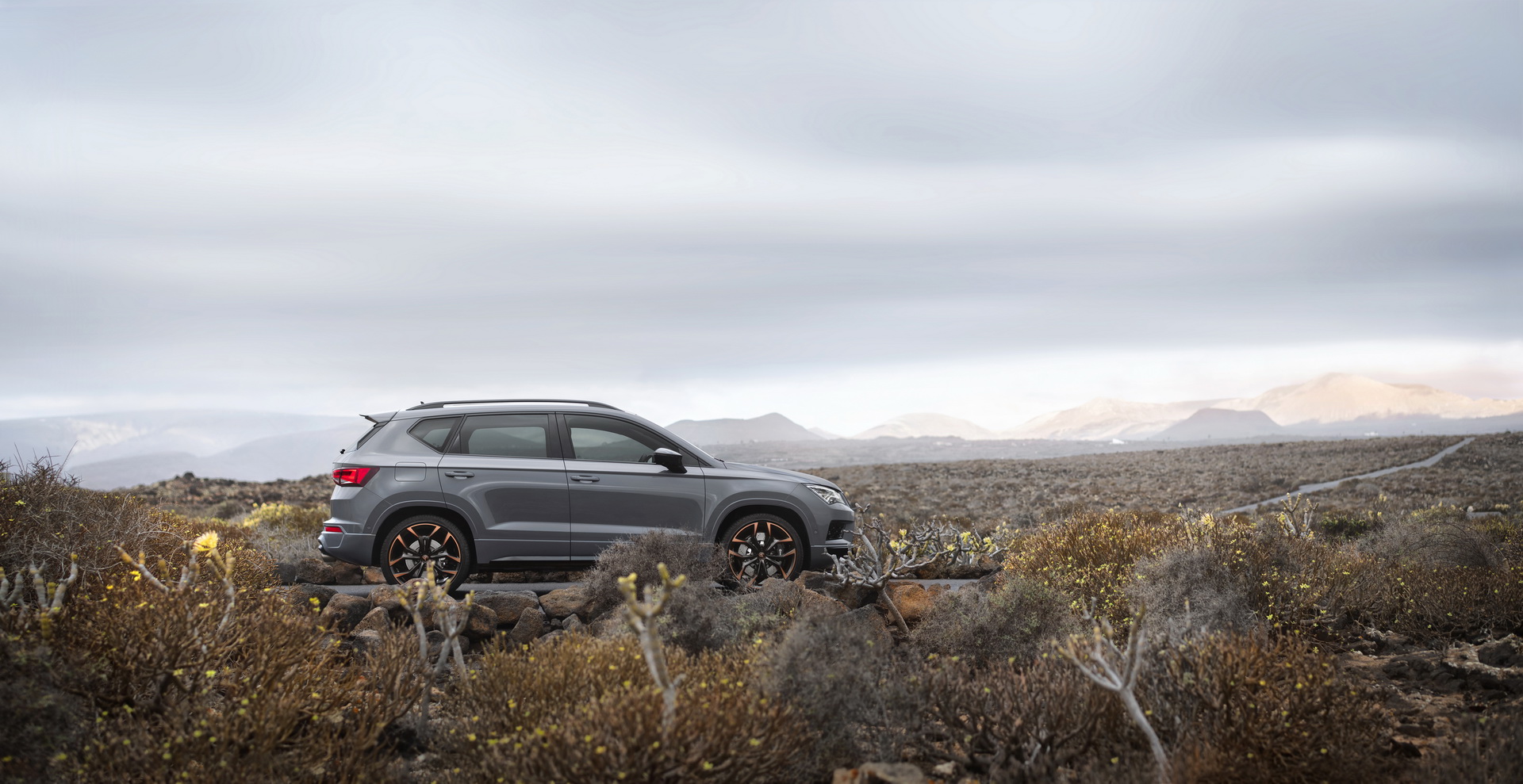 Cupra Ateca Gains New Limited Edition With Carbon Fiber Bits, New Wheels And More