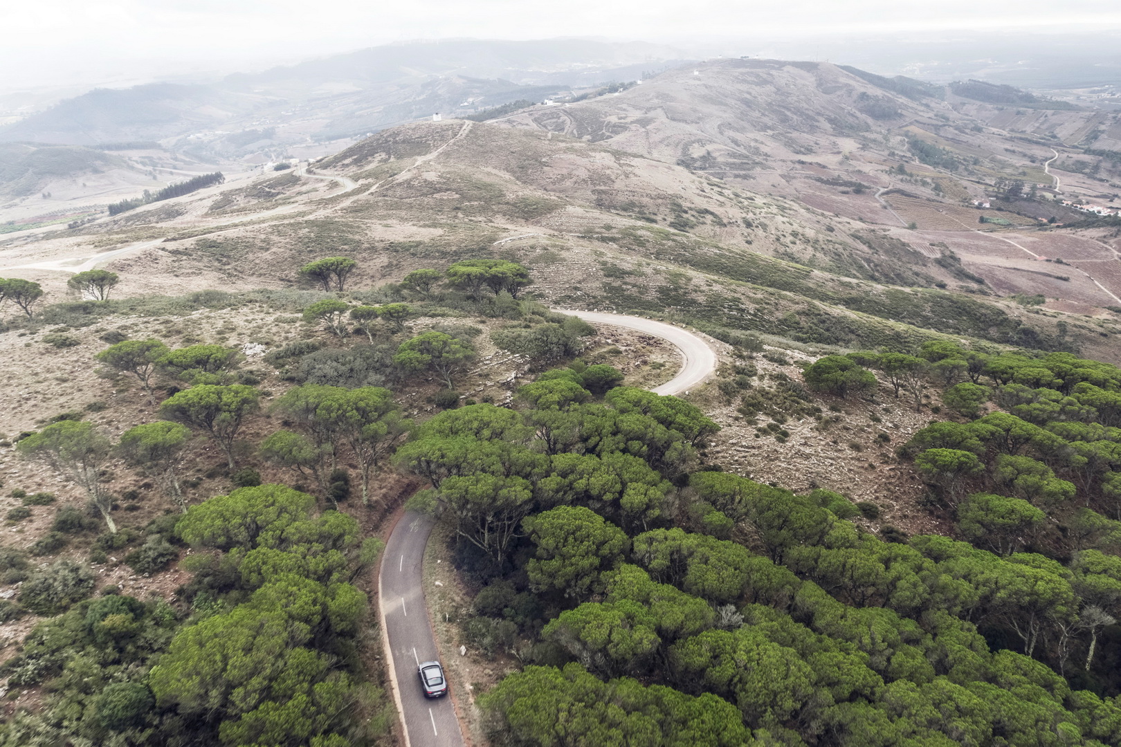 Explore The New Alpine A110S In 75 High-Res Images – And A Video