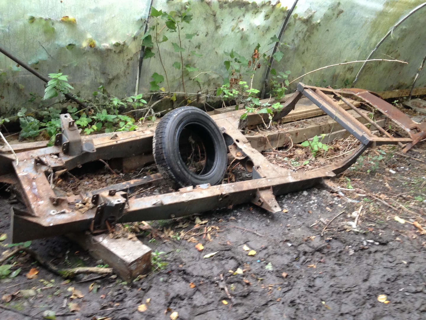 1954 Jaguar XK120 Needs More Than A Dust-Off To Be Brought Back To Life