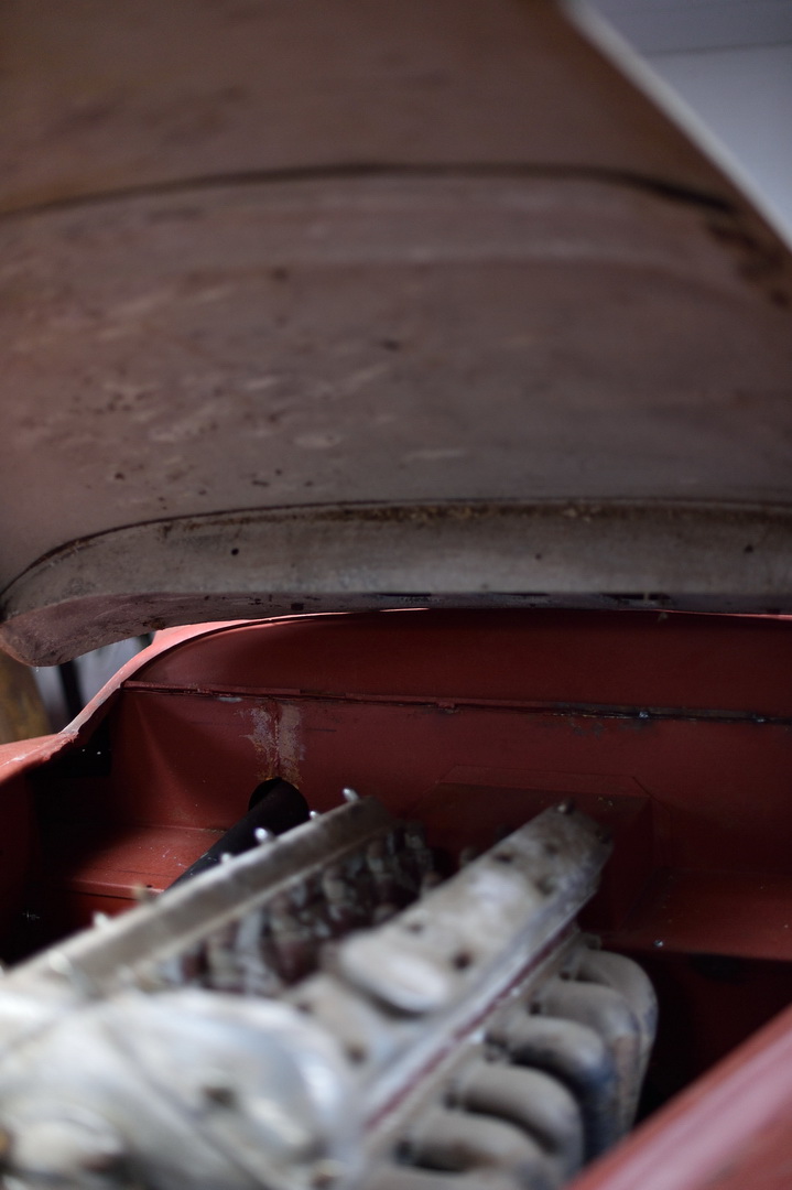 1954 Jaguar XK120 Needs More Than A Dust-Off To Be Brought Back To Life