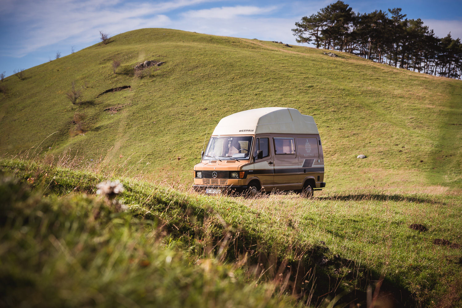 Mercedes-Benz Celebrates Marco Polo Camper Turning 35 With ArtVenture Special Edition