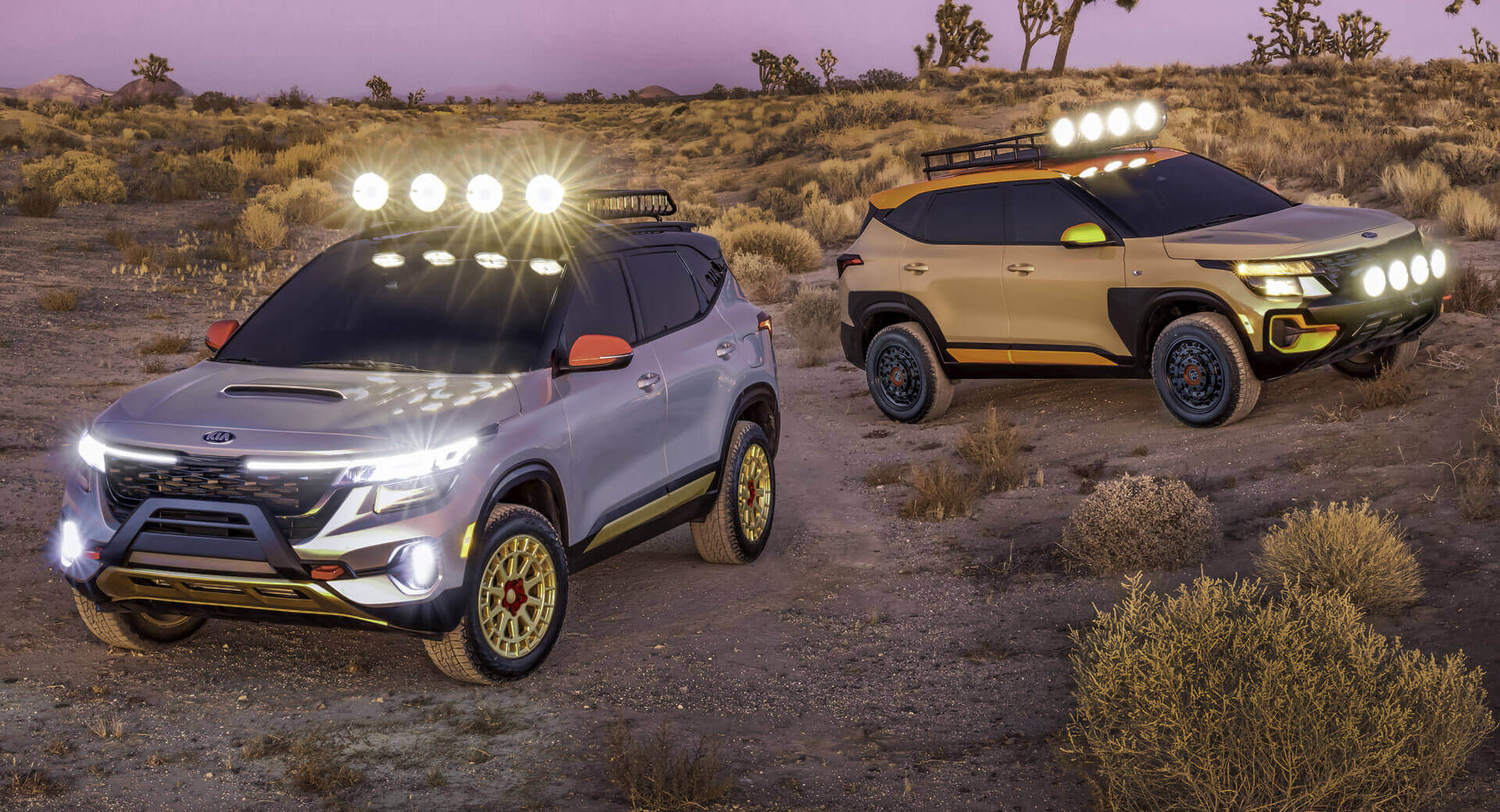 2019 LA Auto Show Roundup: A-To-Z Guide To All The Debuts (Day 3)