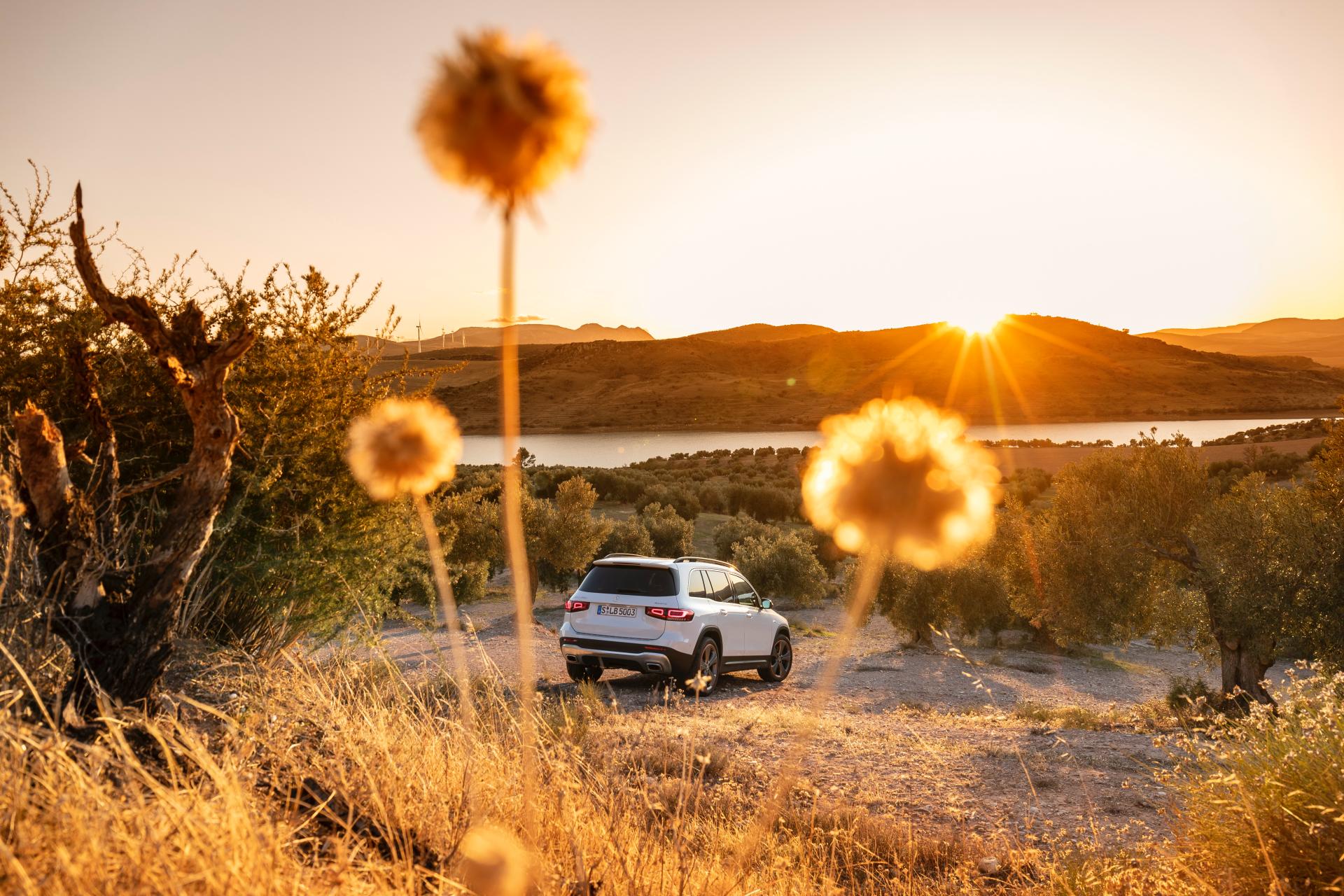 Huge Photo Gallery Will Help You Pick Your Favorite 2020 Mercedes GLB