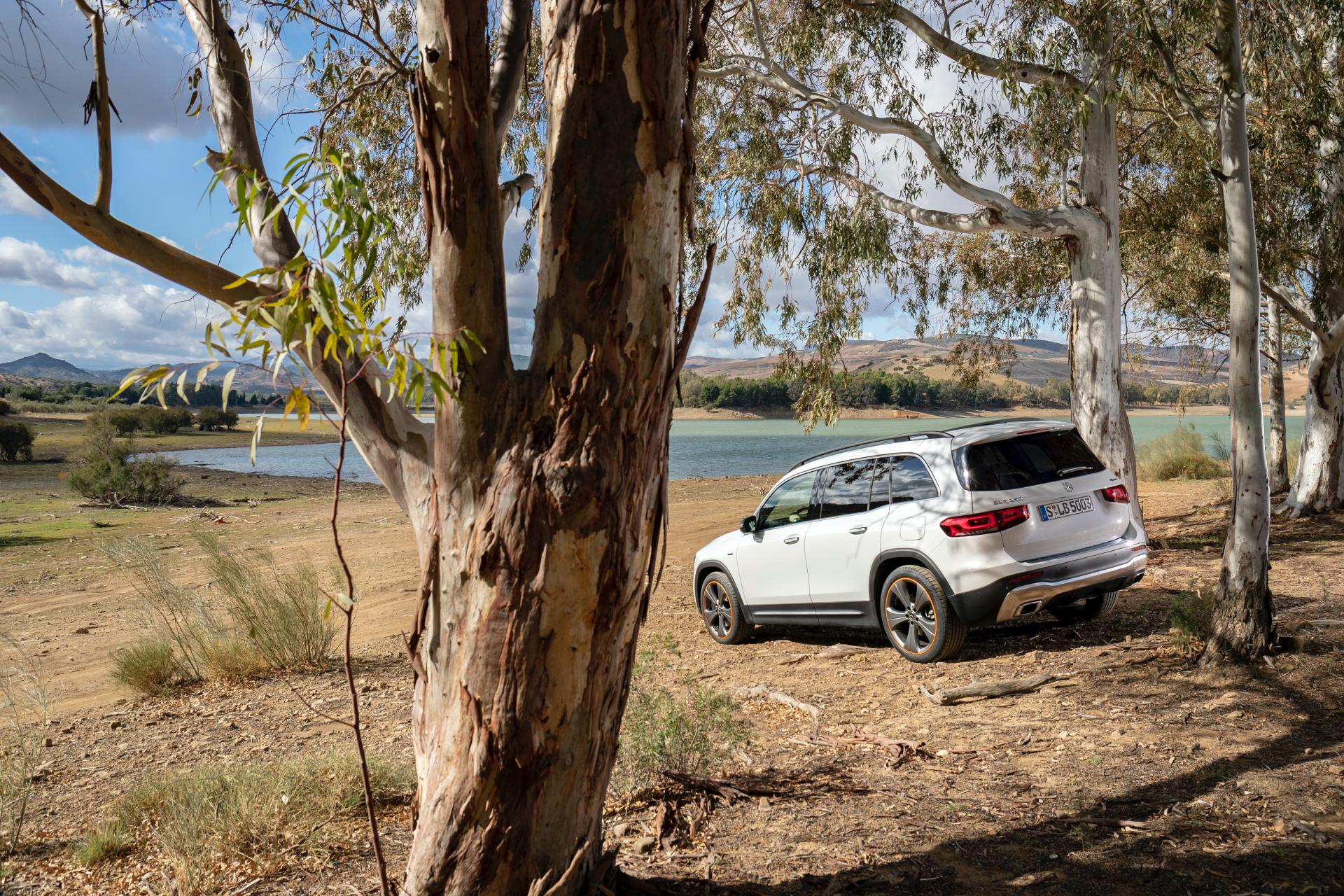 Huge Photo Gallery Will Help You Pick Your Favorite 2020 Mercedes GLB