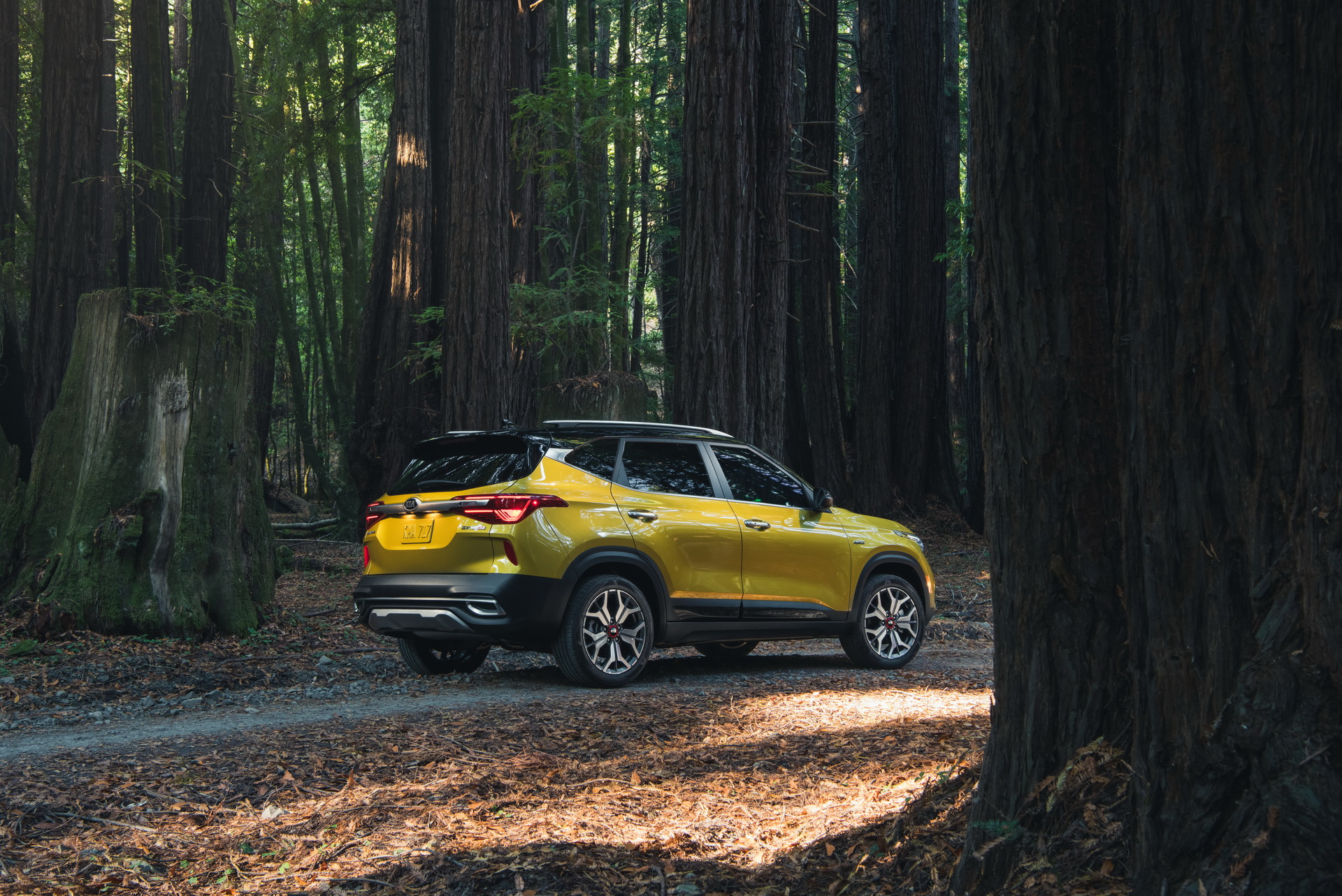 2021 Kia Seltos Wants To Become America’s “Right-Sized” Crossover