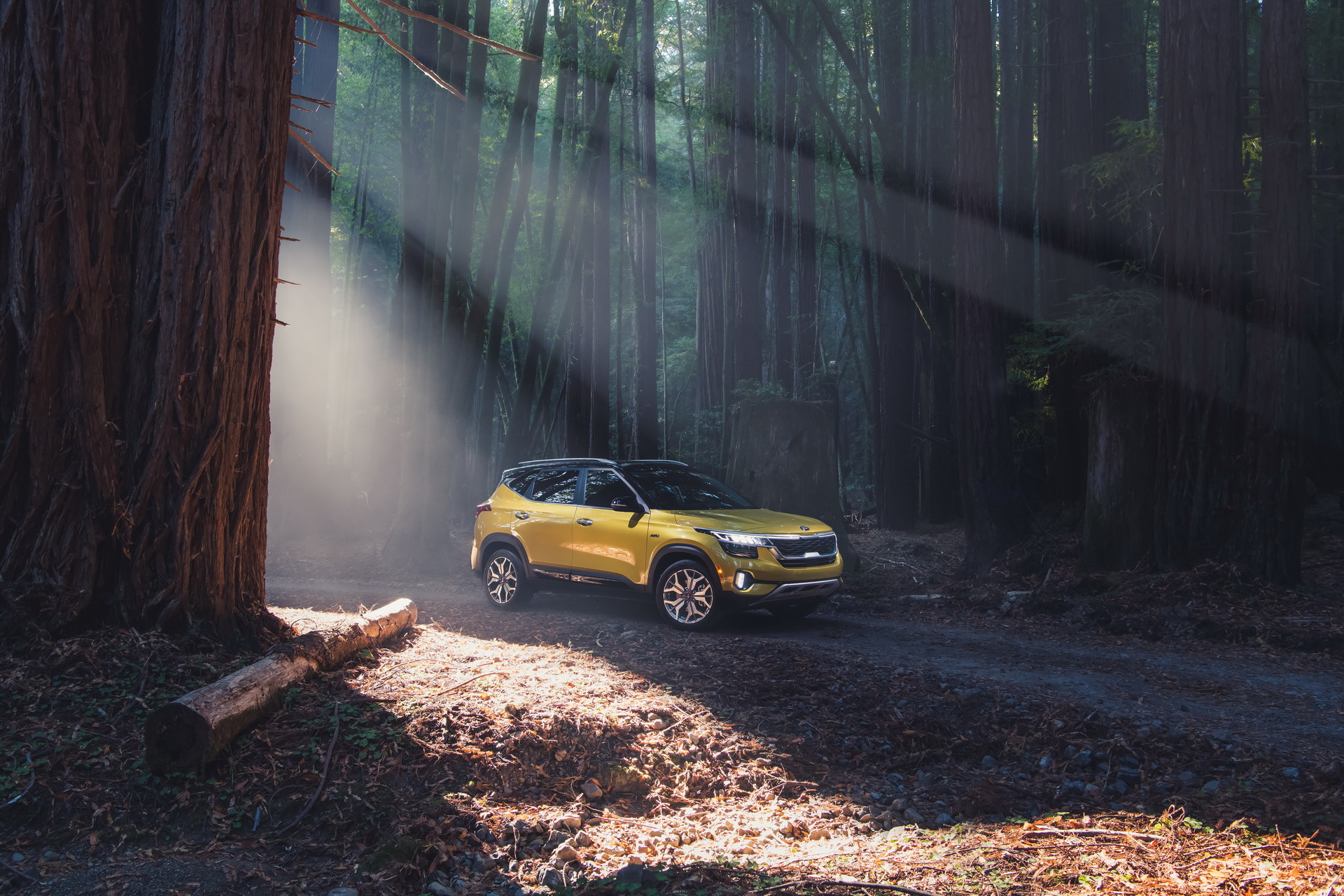 2021 Kia Seltos Wants To Become America’s “Right-Sized” Crossover