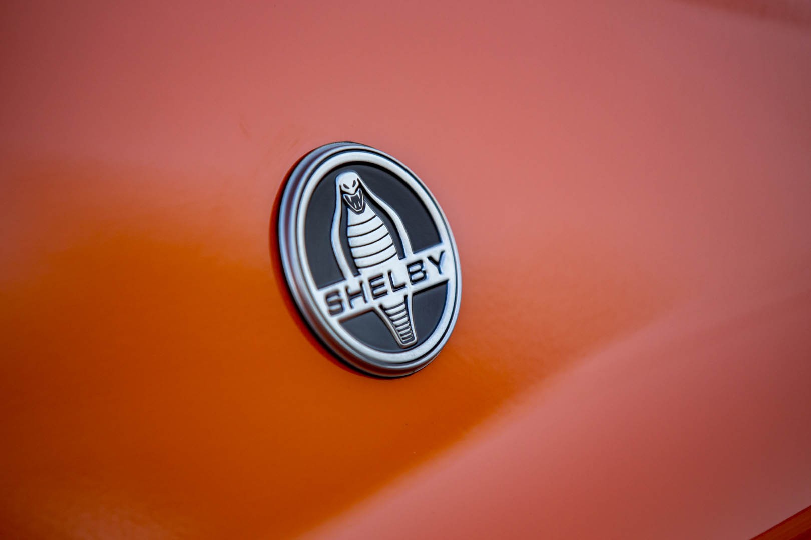 2020 Shelby Super Snake Gets New Bold Package With Throwback Colors