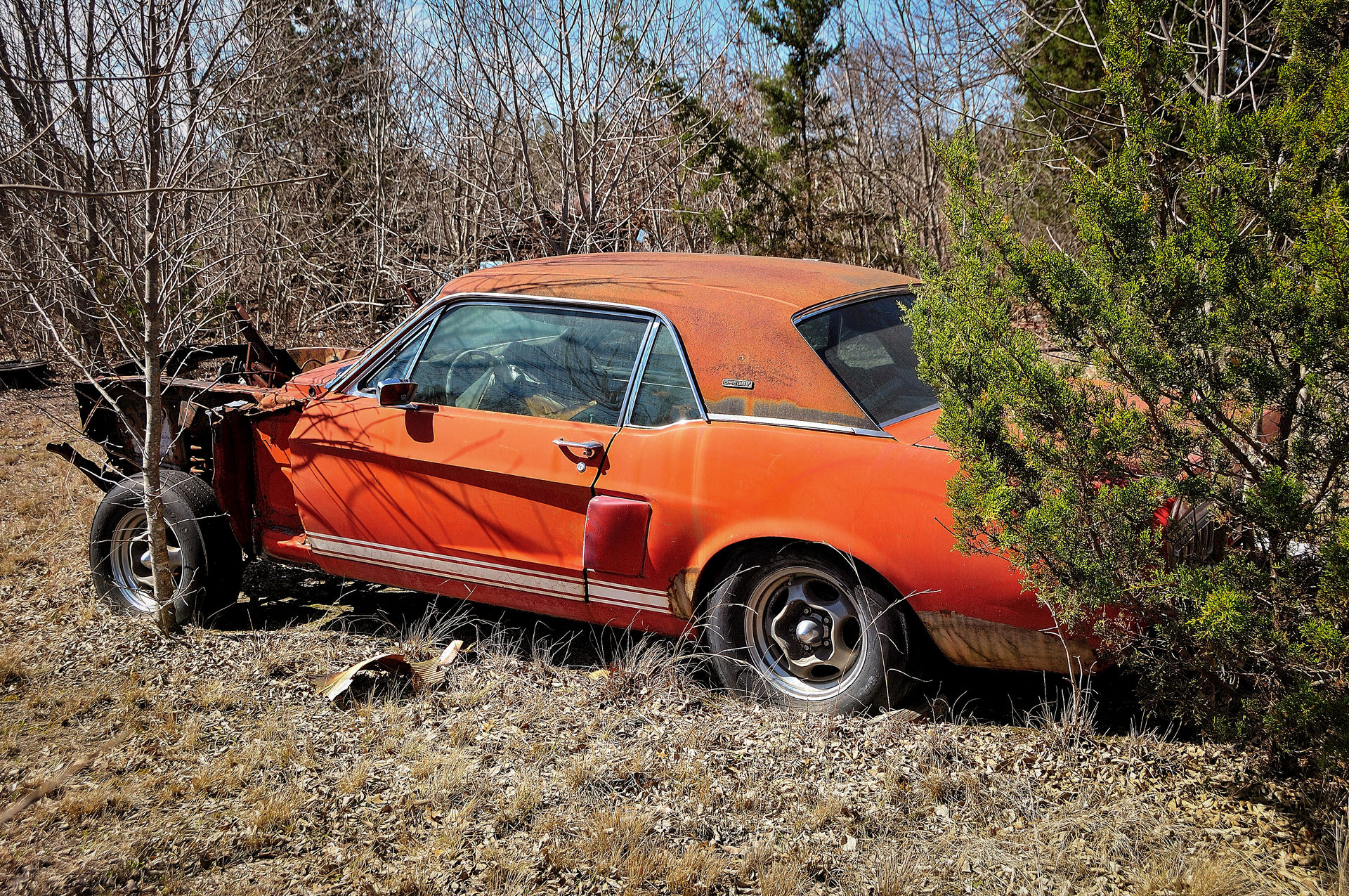 Restored ‘Green Hornet’ And ‘Little Red’ Ford Mustang Shelby GT500s Showcased In Arizona
