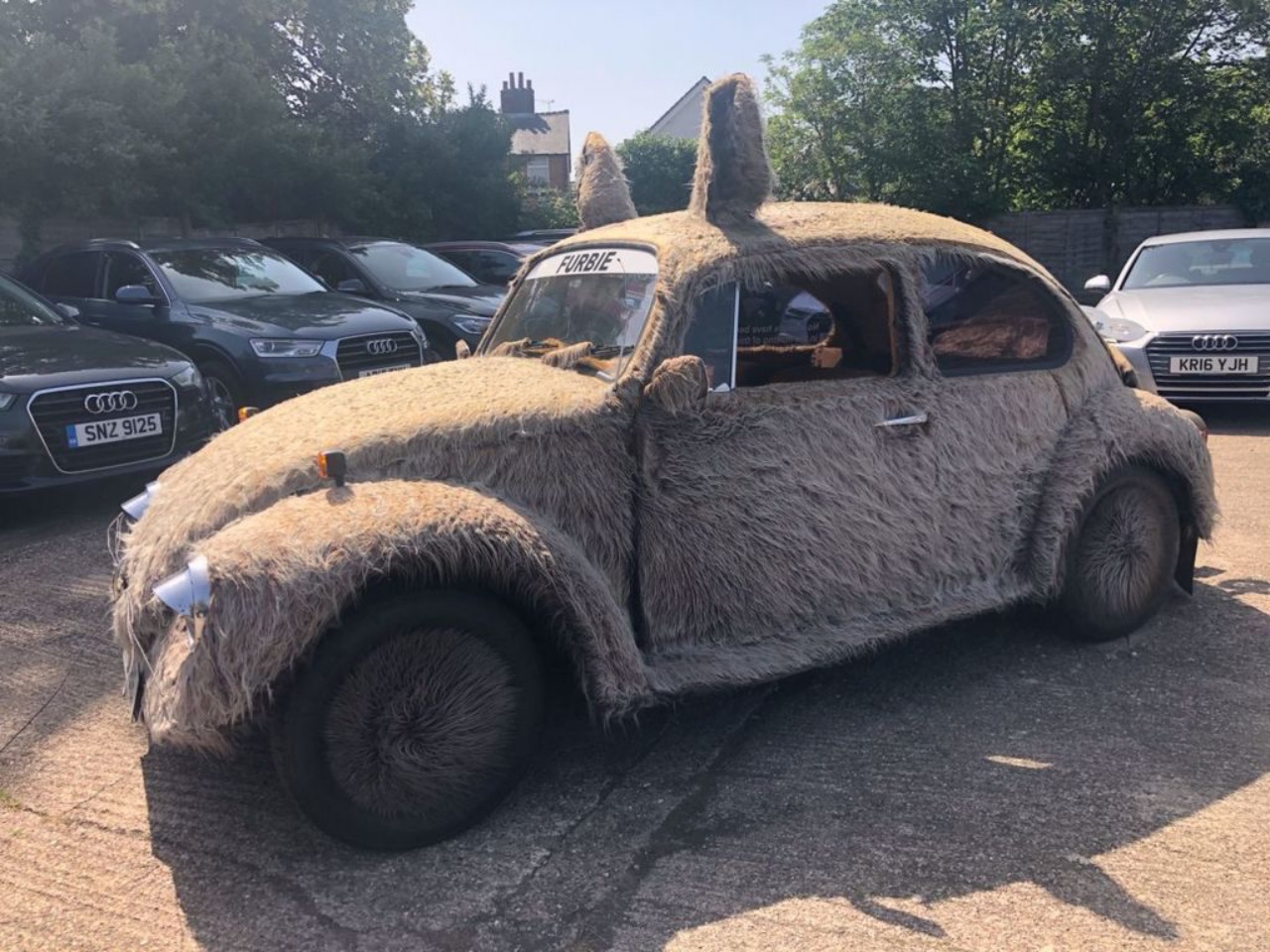 To Pet Or To Drive? That Is The Question With This 1978 VW Beetle ‘Furbie’
