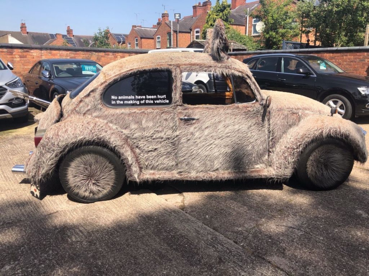 To Pet Or To Drive? That Is The Question With This 1978 VW Beetle ‘Furbie’