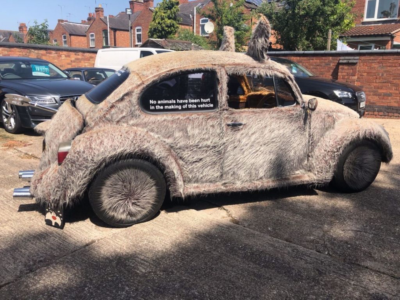 To Pet Or To Drive? That Is The Question With This 1978 VW Beetle ‘Furbie’