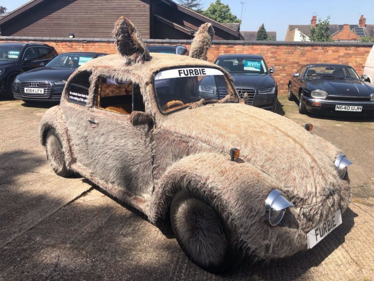 To Pet Or To Drive? That Is The Question With This 1978 VW Beetle ‘Furbie’