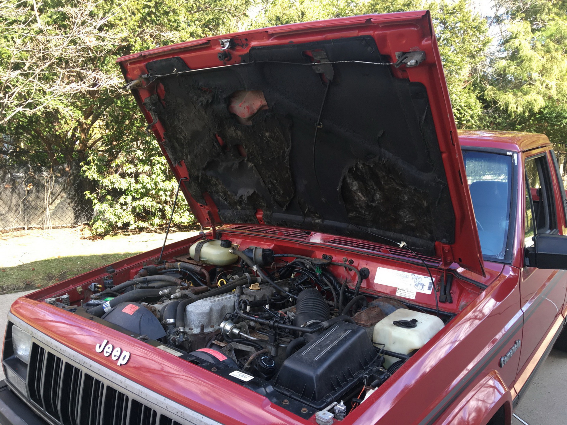 1989 Jeep Comanche Invites You To Be A Pioneer, Not A Gladiator