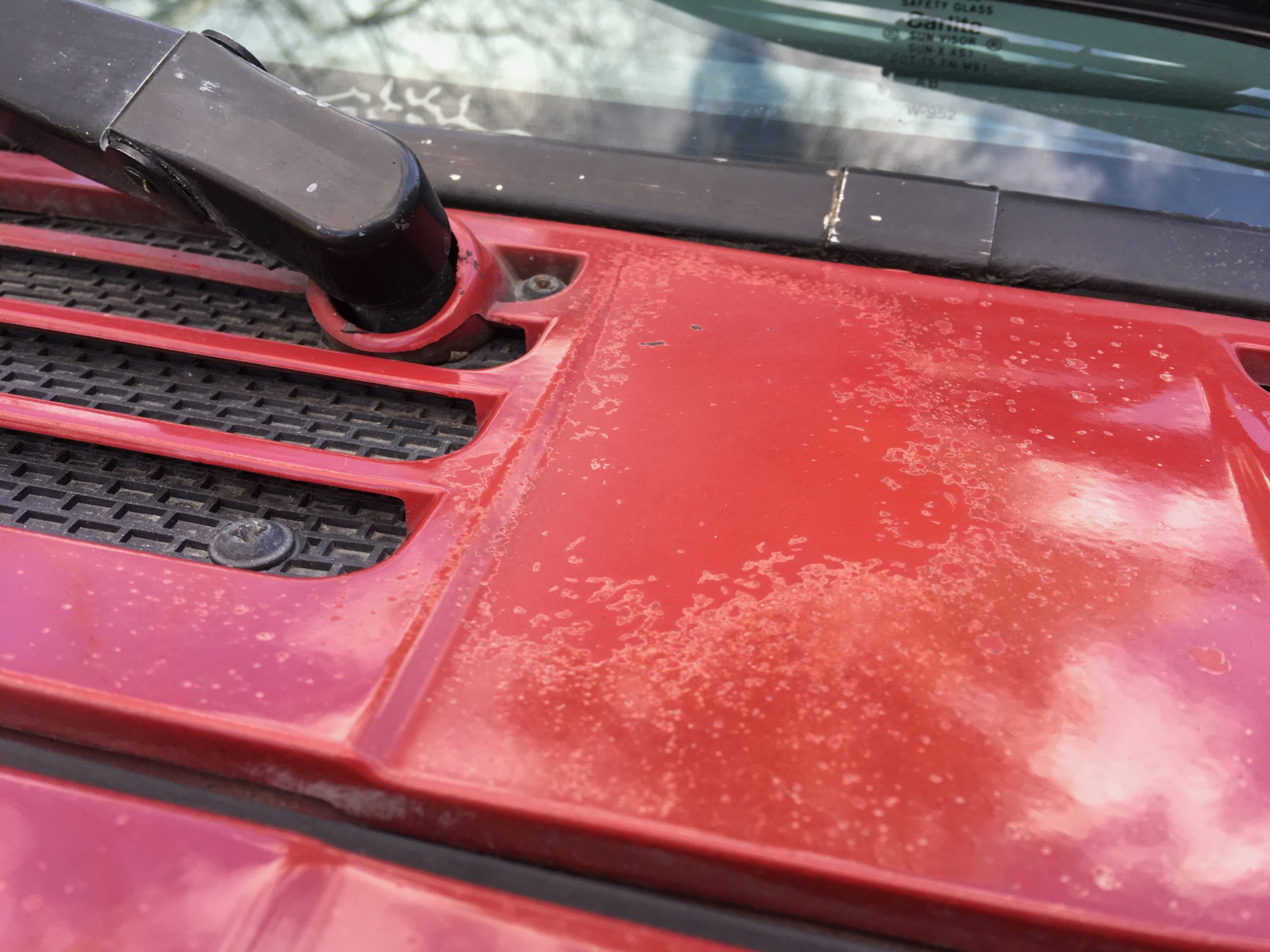 1989 Jeep Comanche Invites You To Be A Pioneer, Not A Gladiator