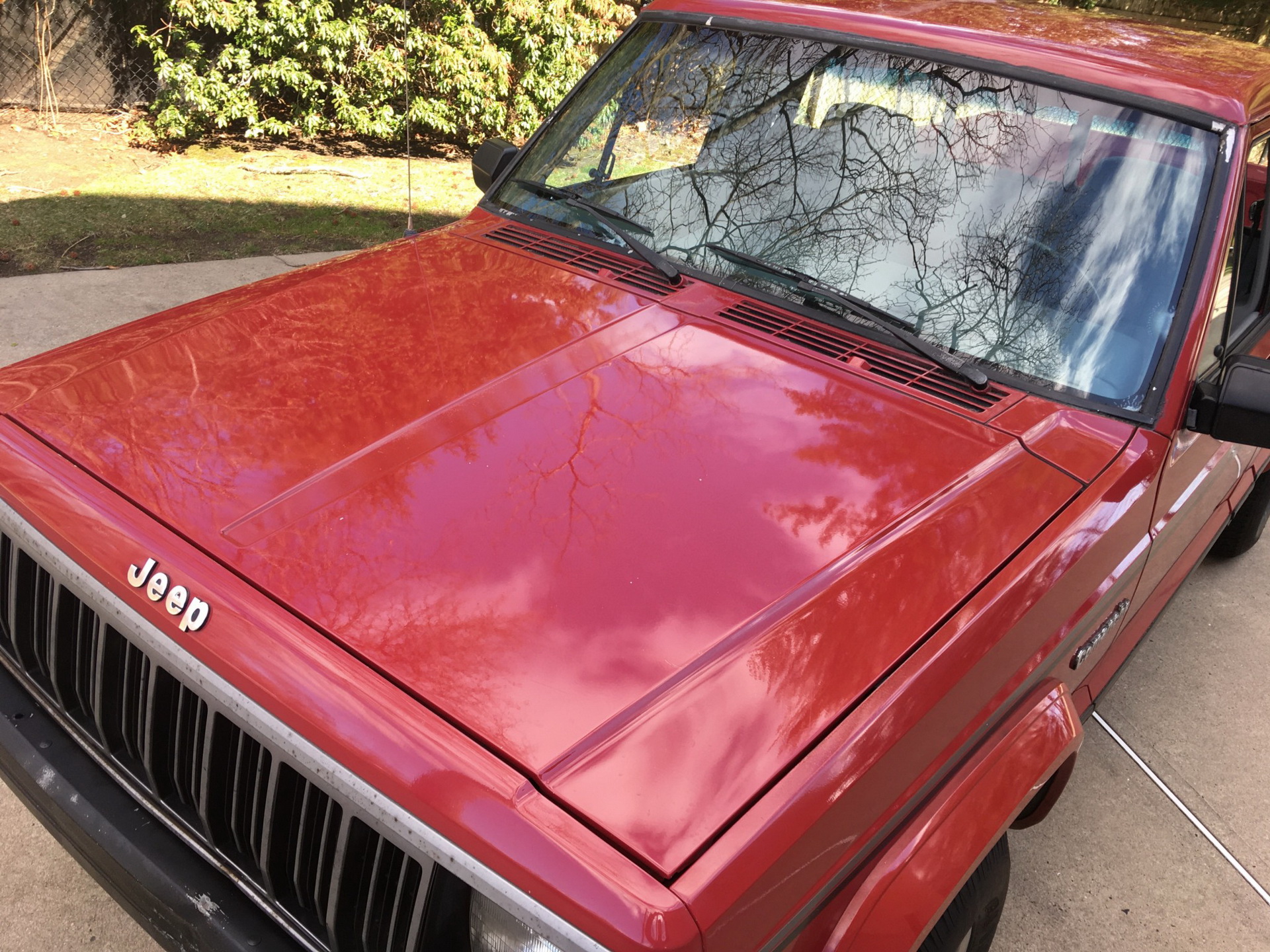 1989 Jeep Comanche Invites You To Be A Pioneer, Not A Gladiator