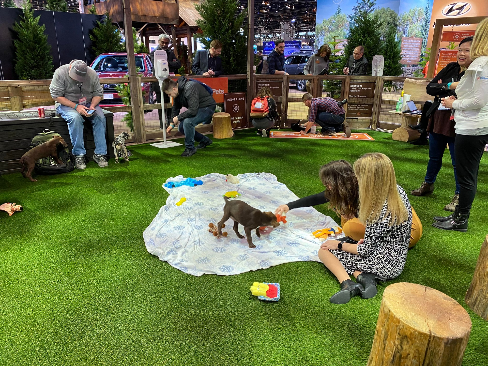 2020 Chicago Auto Show Round Up: All The Debuts And Live Photos