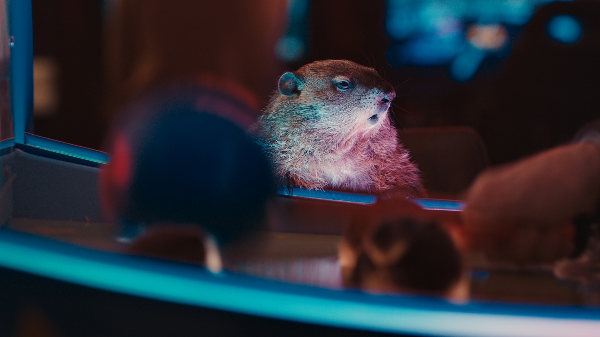 It’s Groundhog Day All Over Again For Bill Murray Who Reprises Role In Jeep’s 2020 Super Bowl Ad