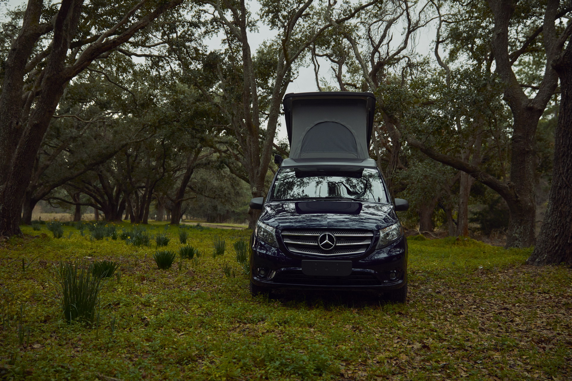 Mercedes Gives Americans Their First Pop-Up Camper Van, The Metris Weekender
