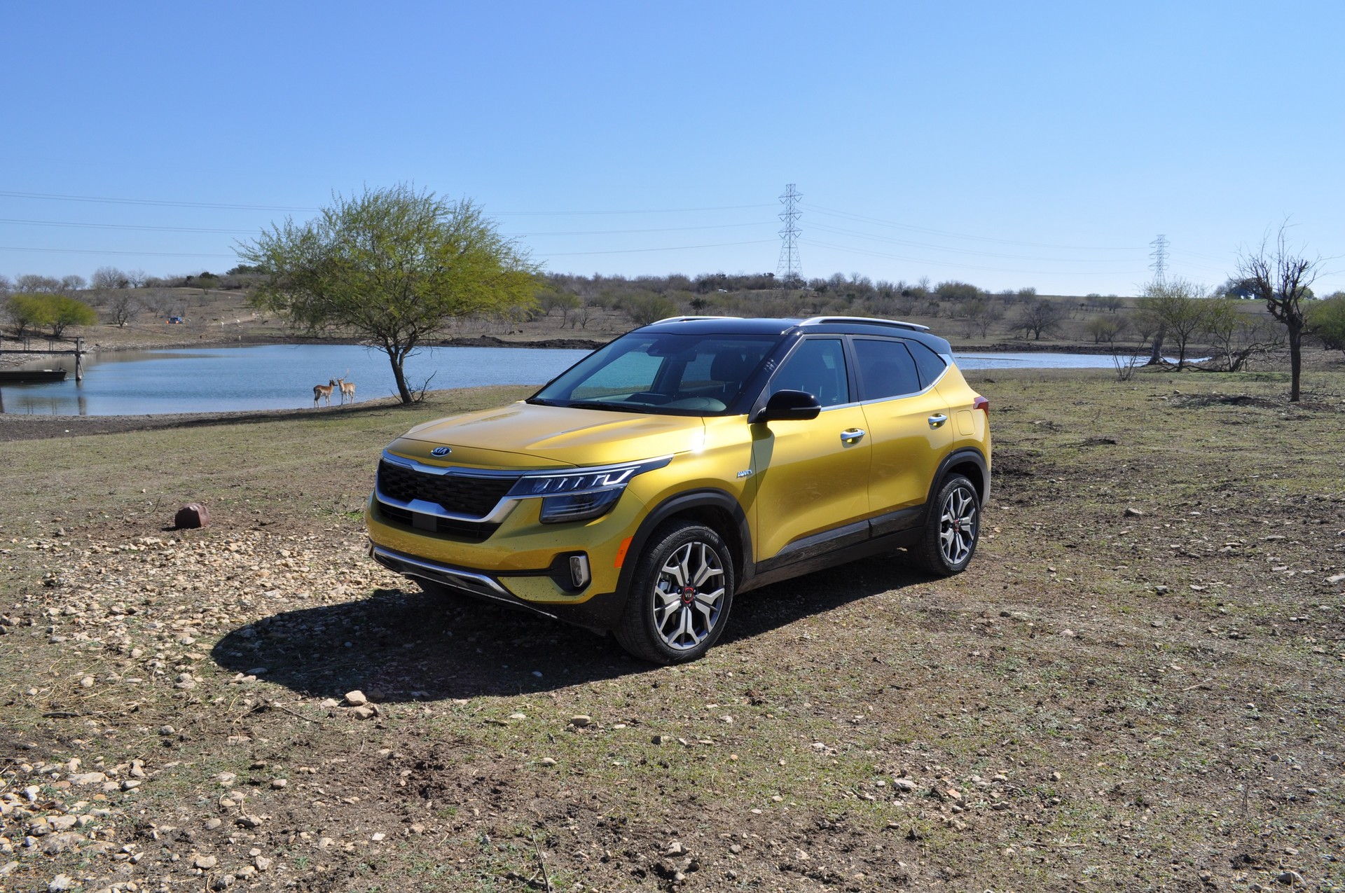 Driven: 2021 Kia Seltos Proves Entry-Level Crossovers Don’t Have Be Full Of Compromises