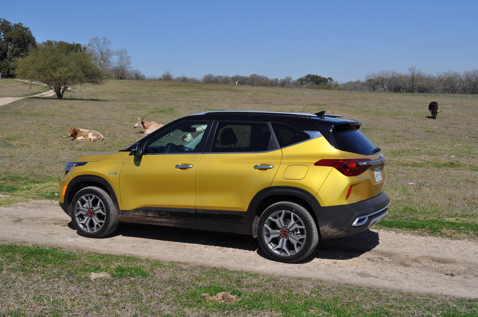 Driven: 2021 Kia Seltos Proves Entry-Level Crossovers Don’t Have Be Full Of Compromises