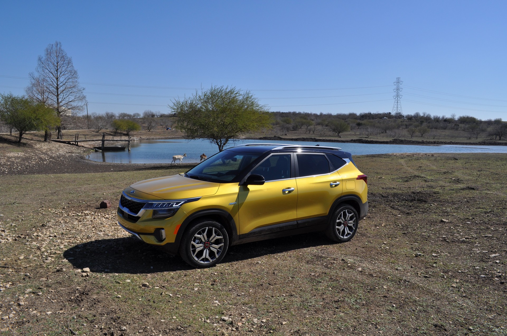 Driven: 2021 Kia Seltos Proves Entry-Level Crossovers Don’t Have Be Full Of Compromises