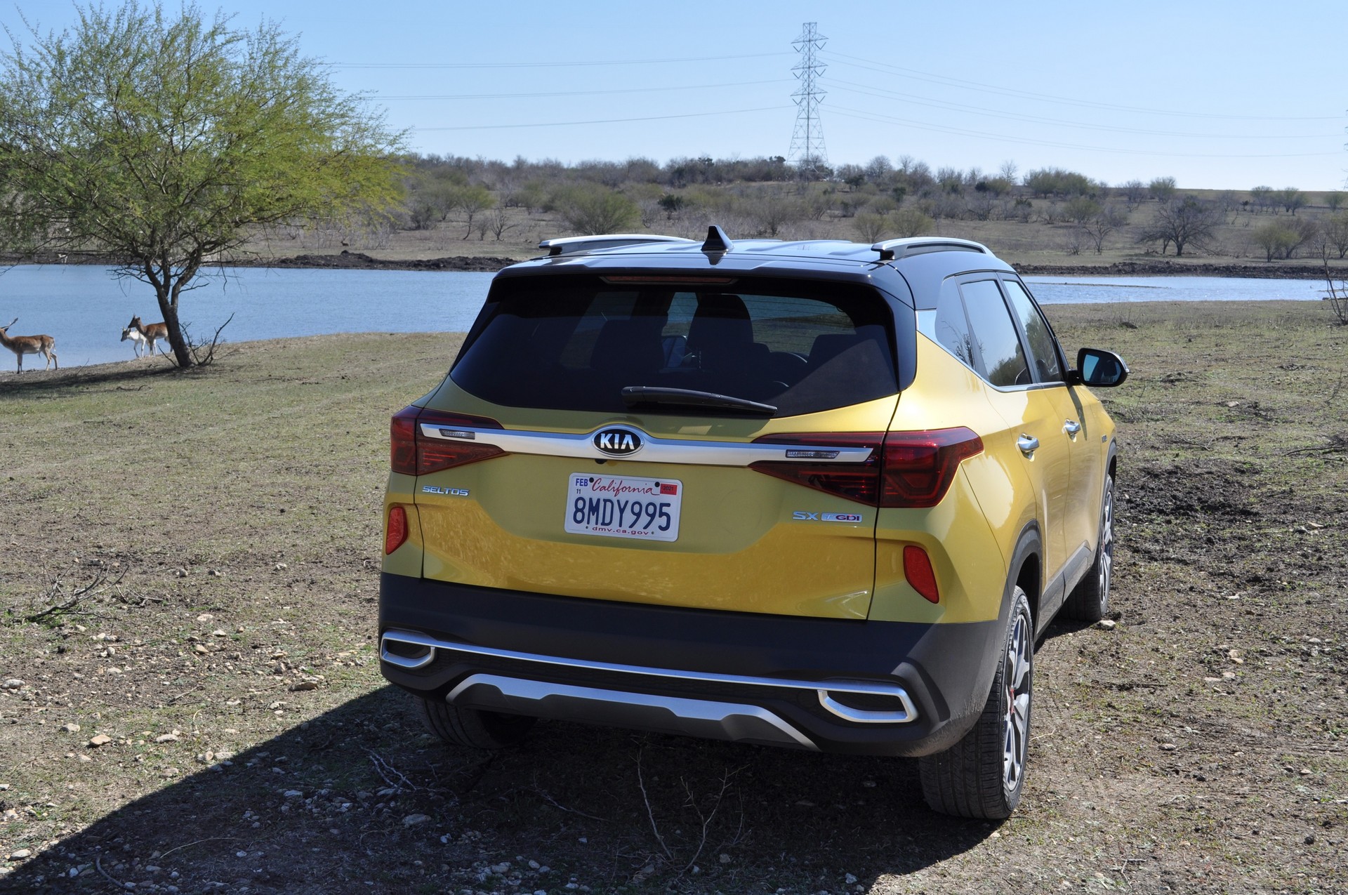 Driven: 2021 Kia Seltos Proves Entry-Level Crossovers Don’t Have Be Full Of Compromises