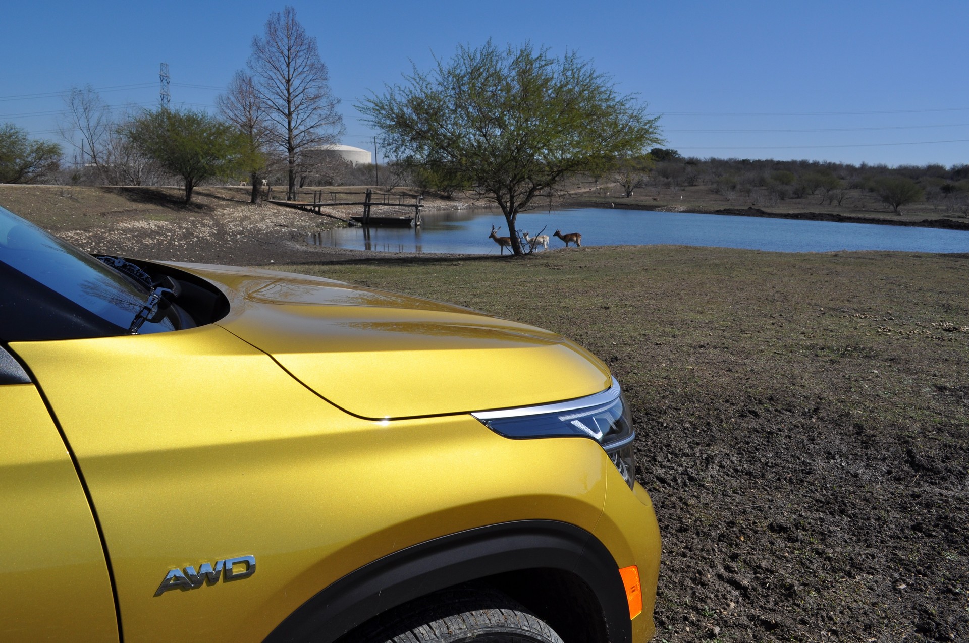 Driven: 2021 Kia Seltos Proves Entry-Level Crossovers Don’t Have Be Full Of Compromises