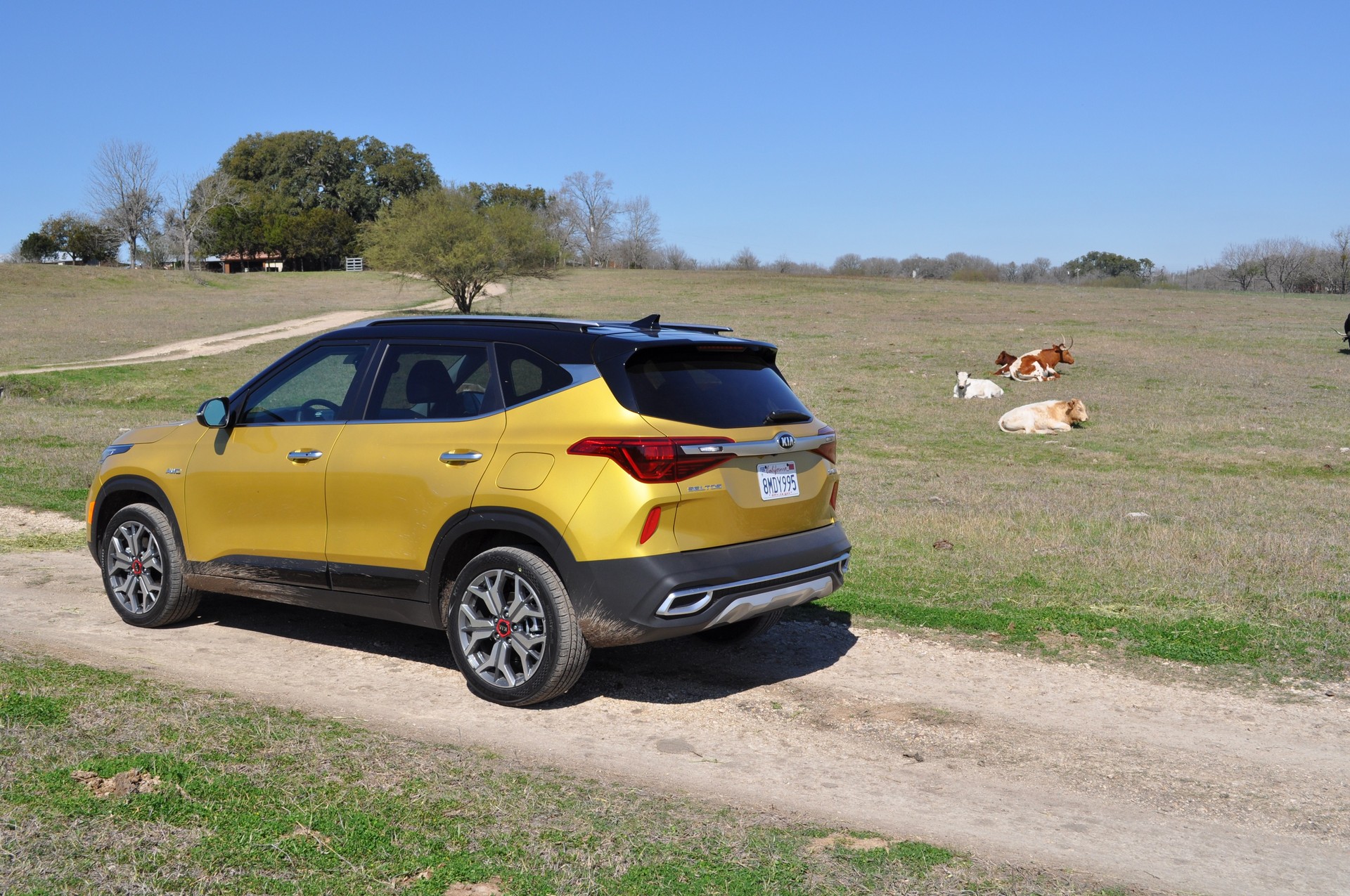 Driven: 2021 Kia Seltos Proves Entry-Level Crossovers Don’t Have Be Full Of Compromises